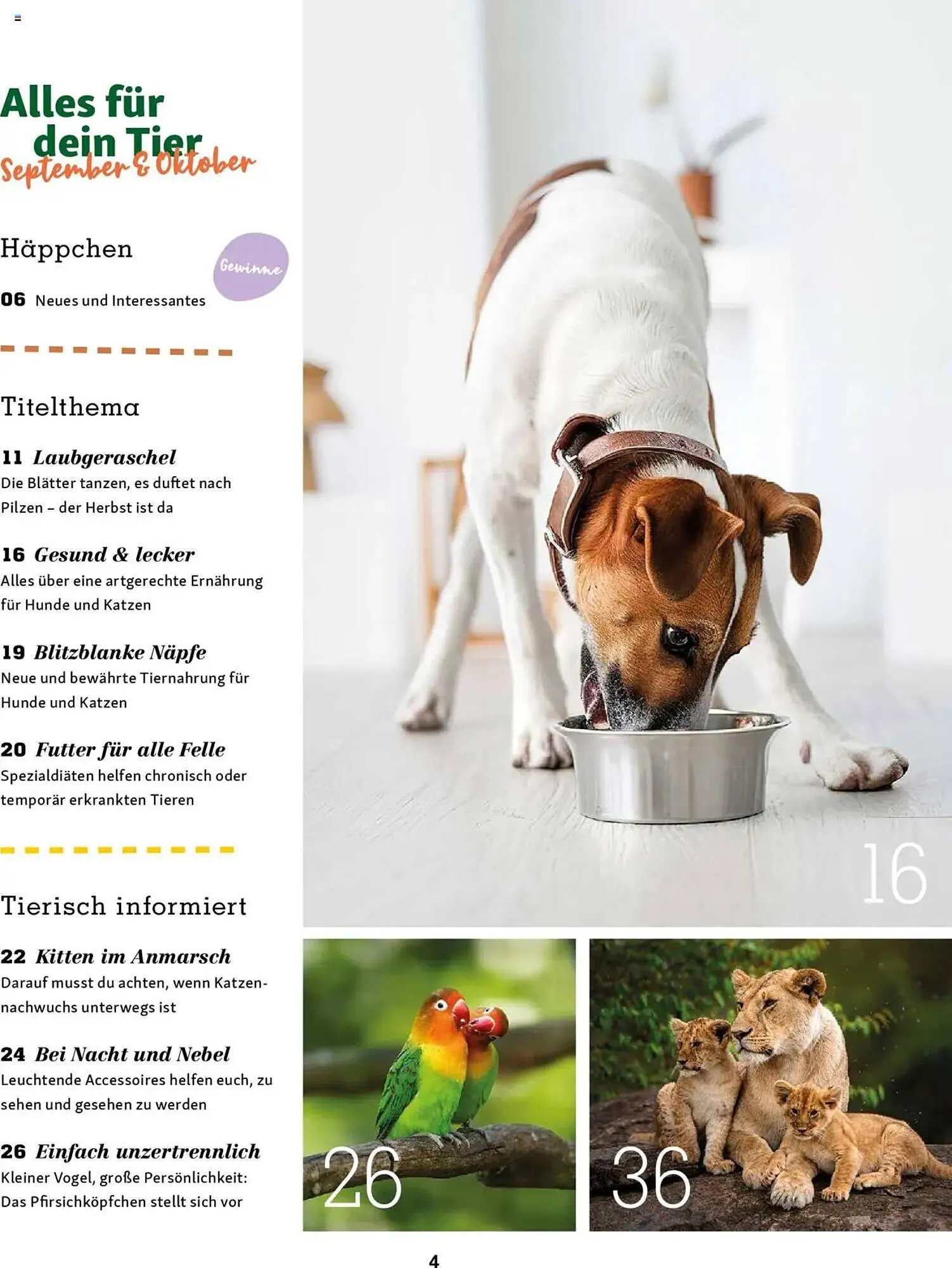 Fressnapf Magazin von 1. September bis 31. Oktober 2025 - Prospekt seite 4