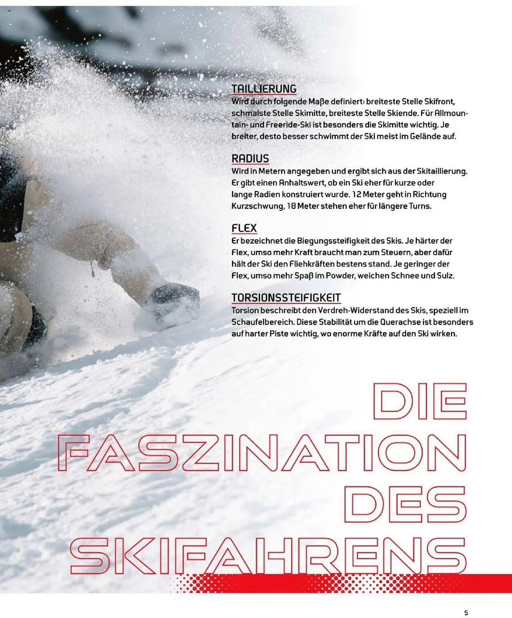 Sport 2000 Prospekt von 4. Dezember bis 28. Februar 2026 - Prospekt seite 5