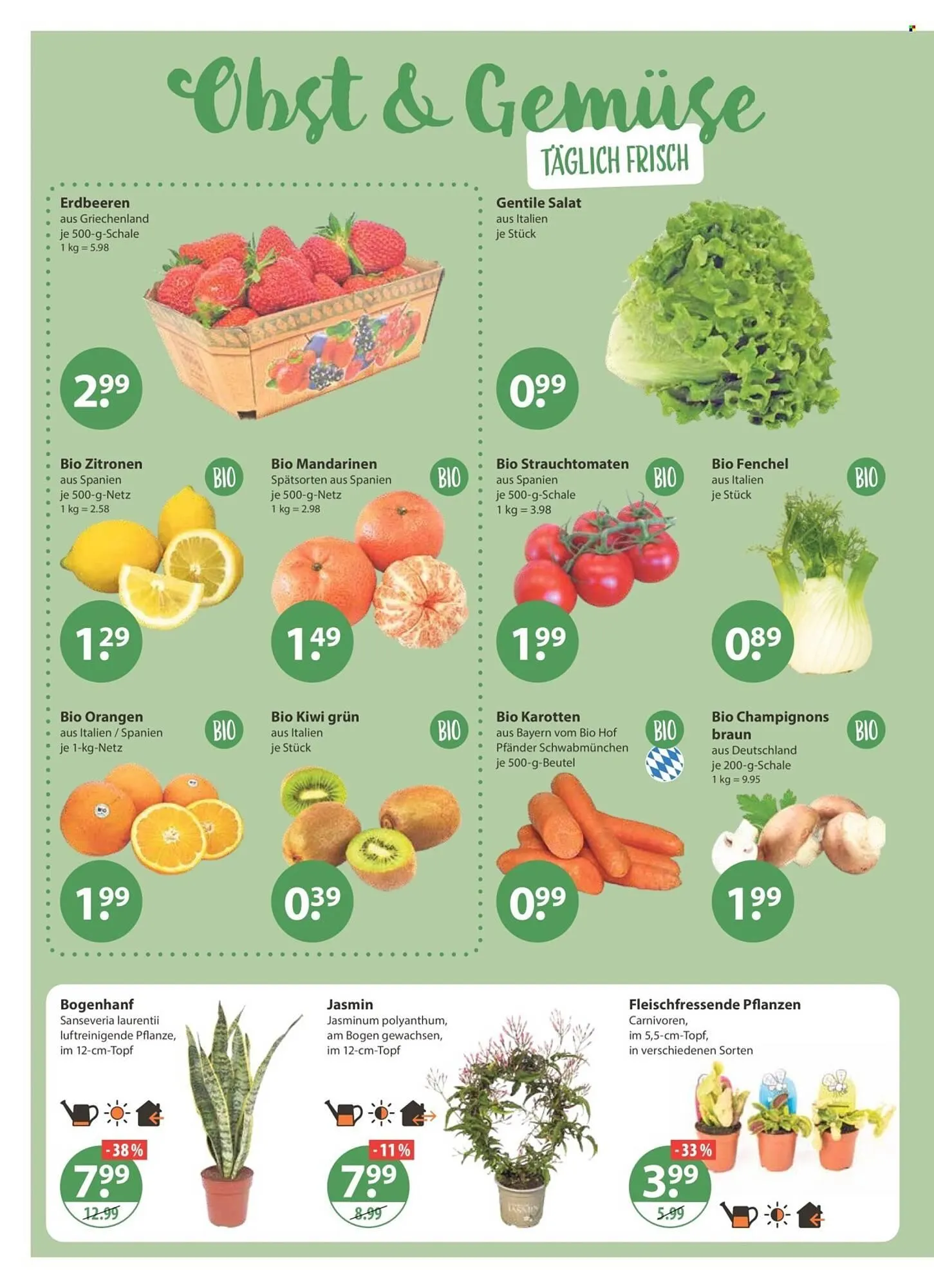 V Markt Prospekt von 29. Januar bis 4. Februar 2026 - Prospekt seite 4