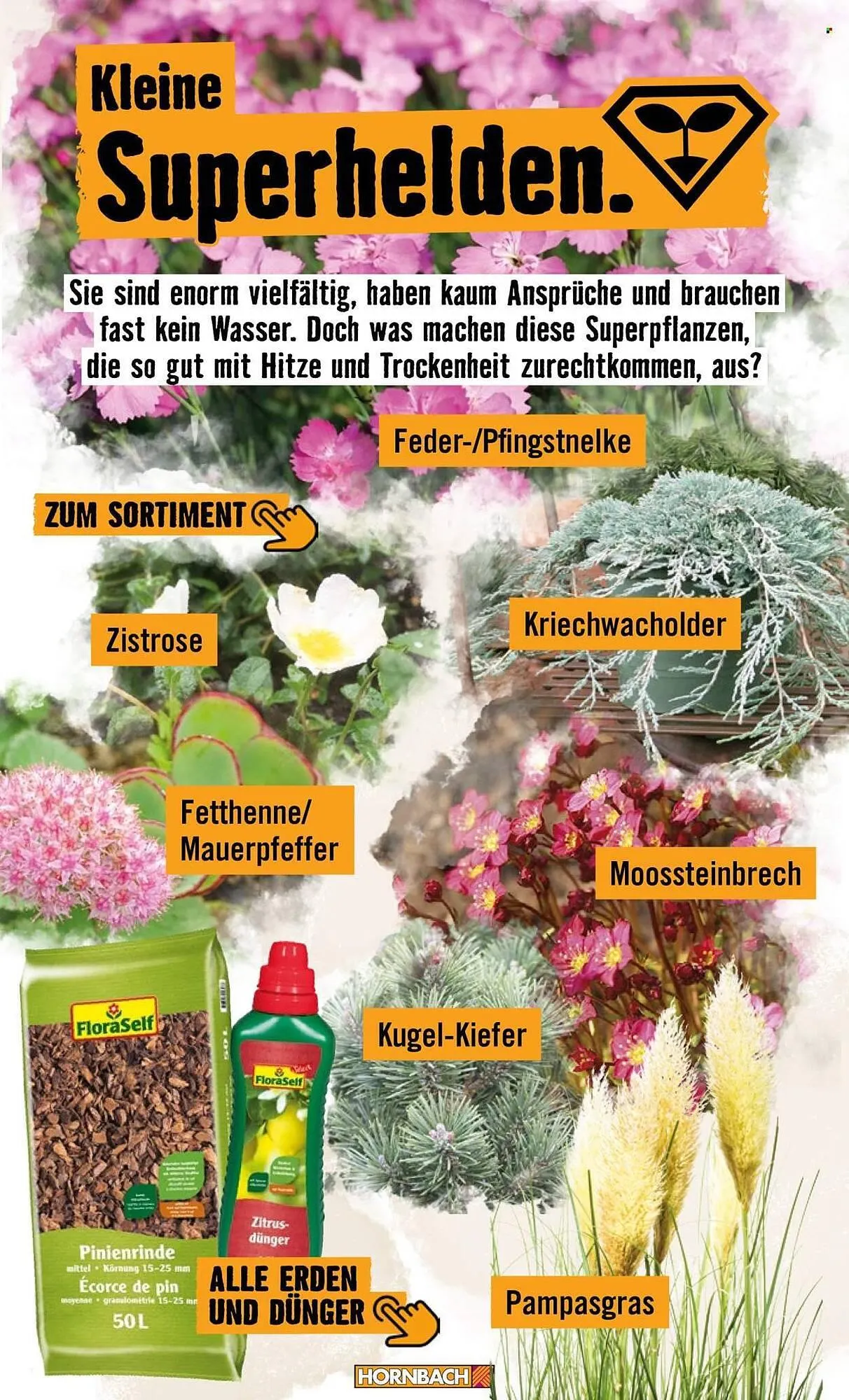 Hornbach Prospekt von 24. April bis 2. Mai 2026 - Prospekt seite 20