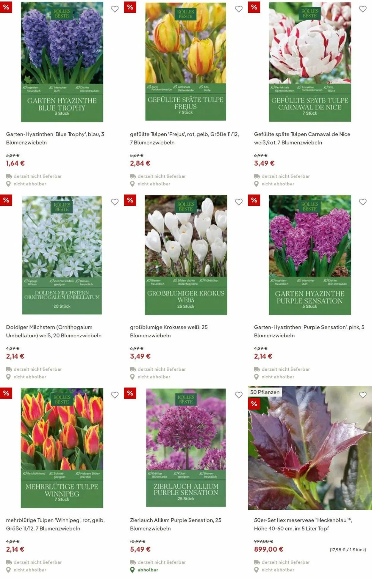 Pflanzen-Kölle Aktueller Prospekt von 15. Dezember bis 24. Dezember 2025 - Prospekt seite 15