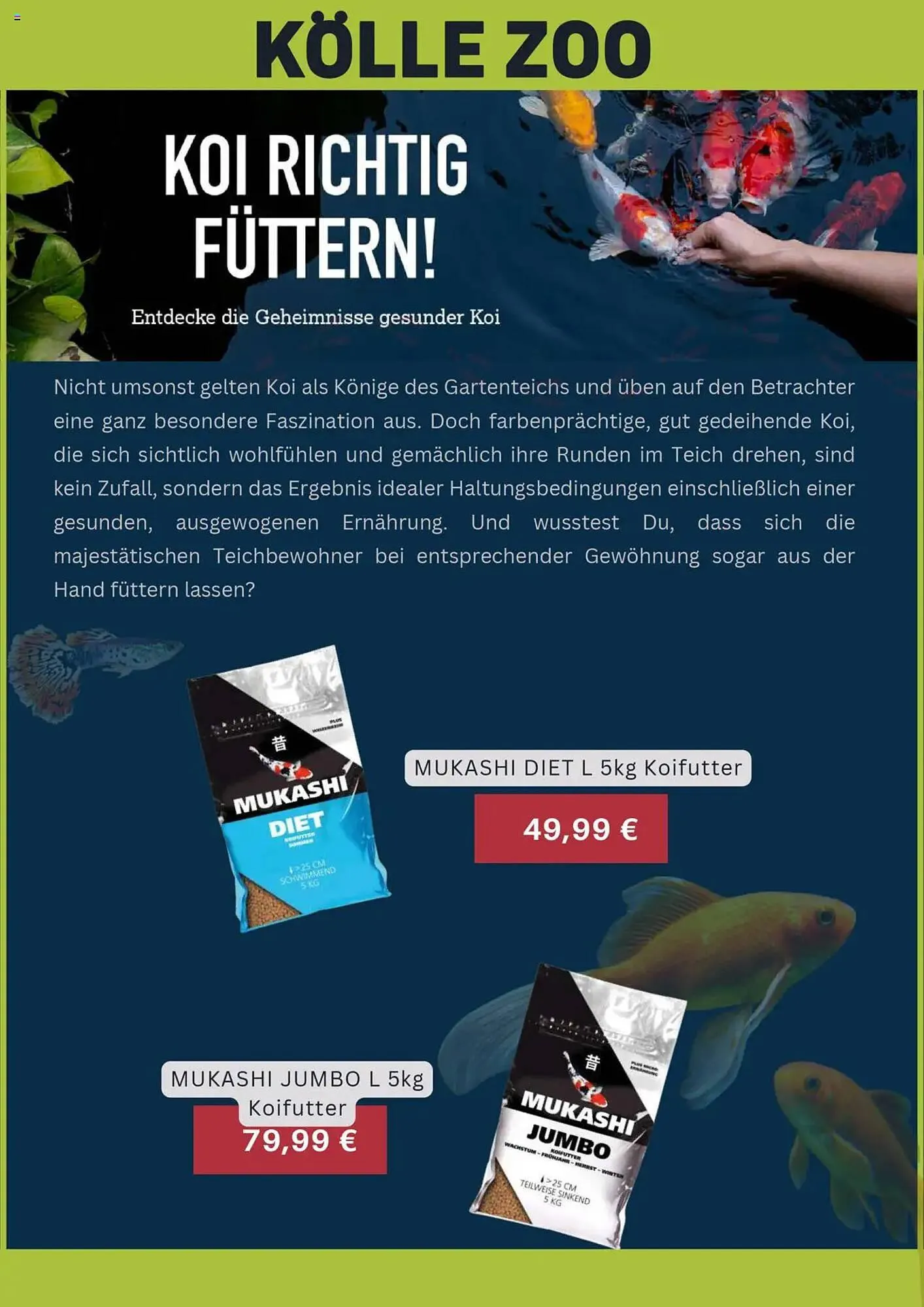 Kölle Zoo Prospekt von 7. August bis 8. September 2025 - Prospekt seite 11