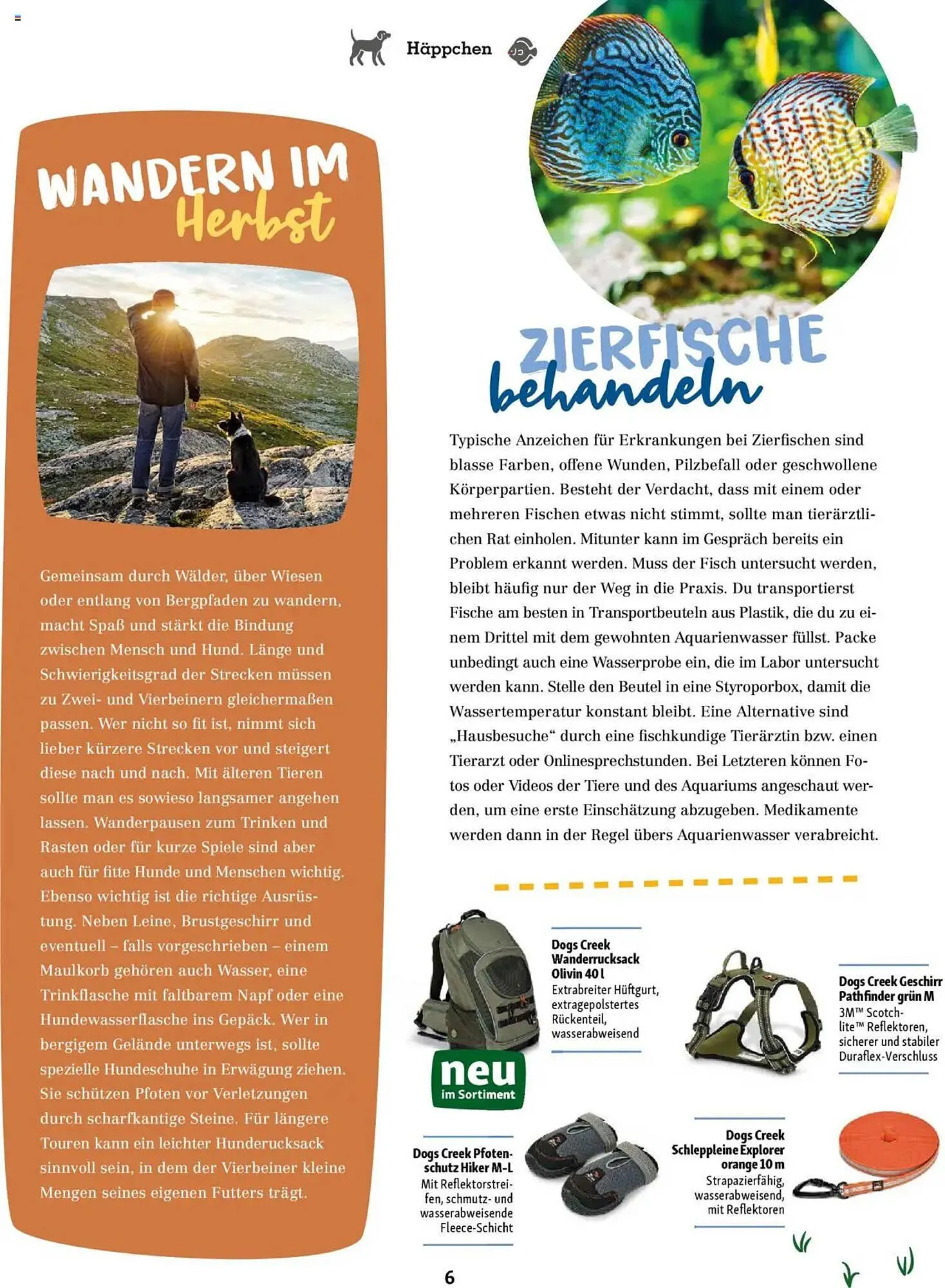 Fressnapf Magazin von 1. September bis 31. Oktober 2025 - Prospekt seite 6