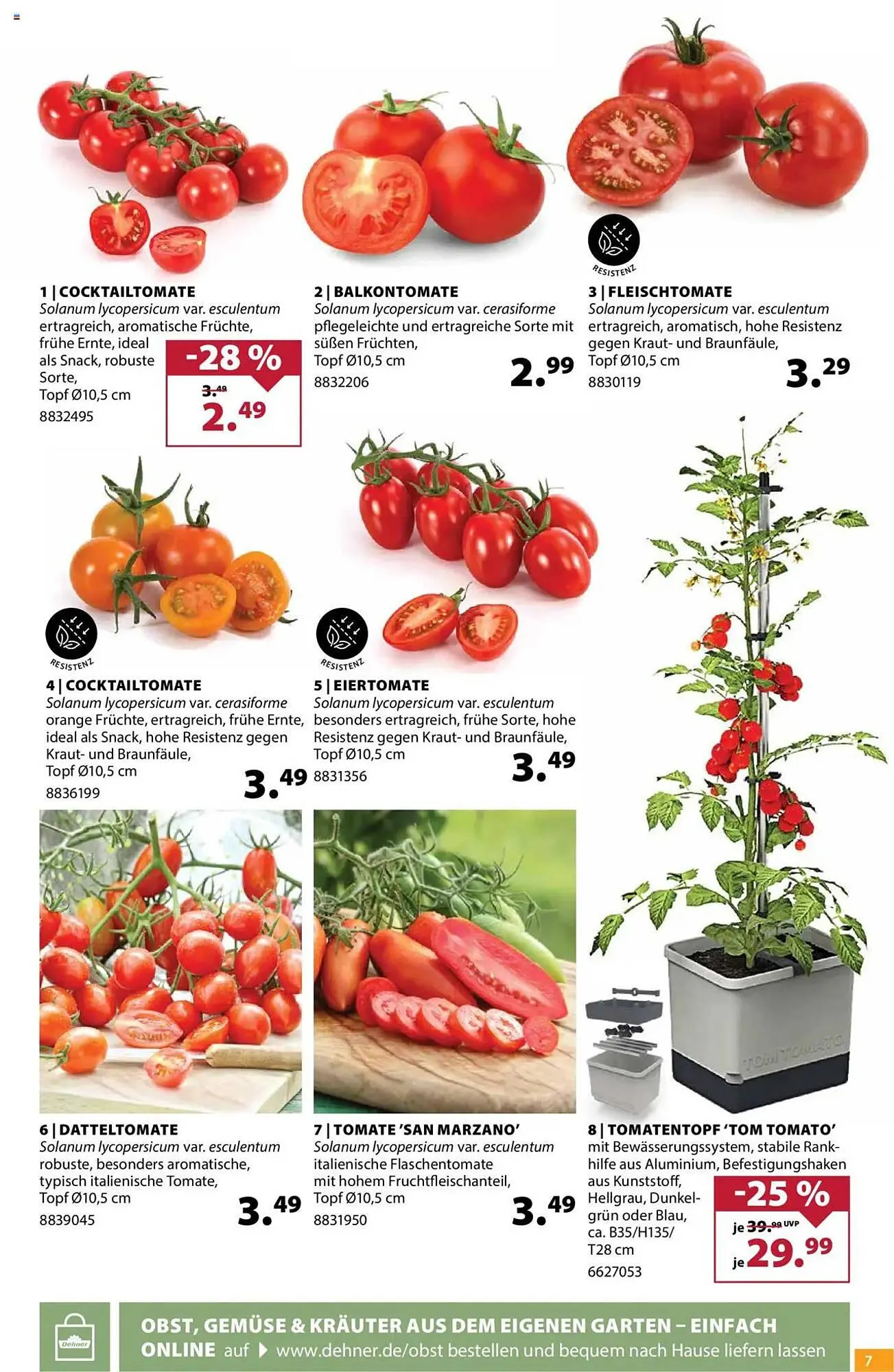 Dehner Prospekt von 23. April bis 28. April 2025 - Prospekt seite 7