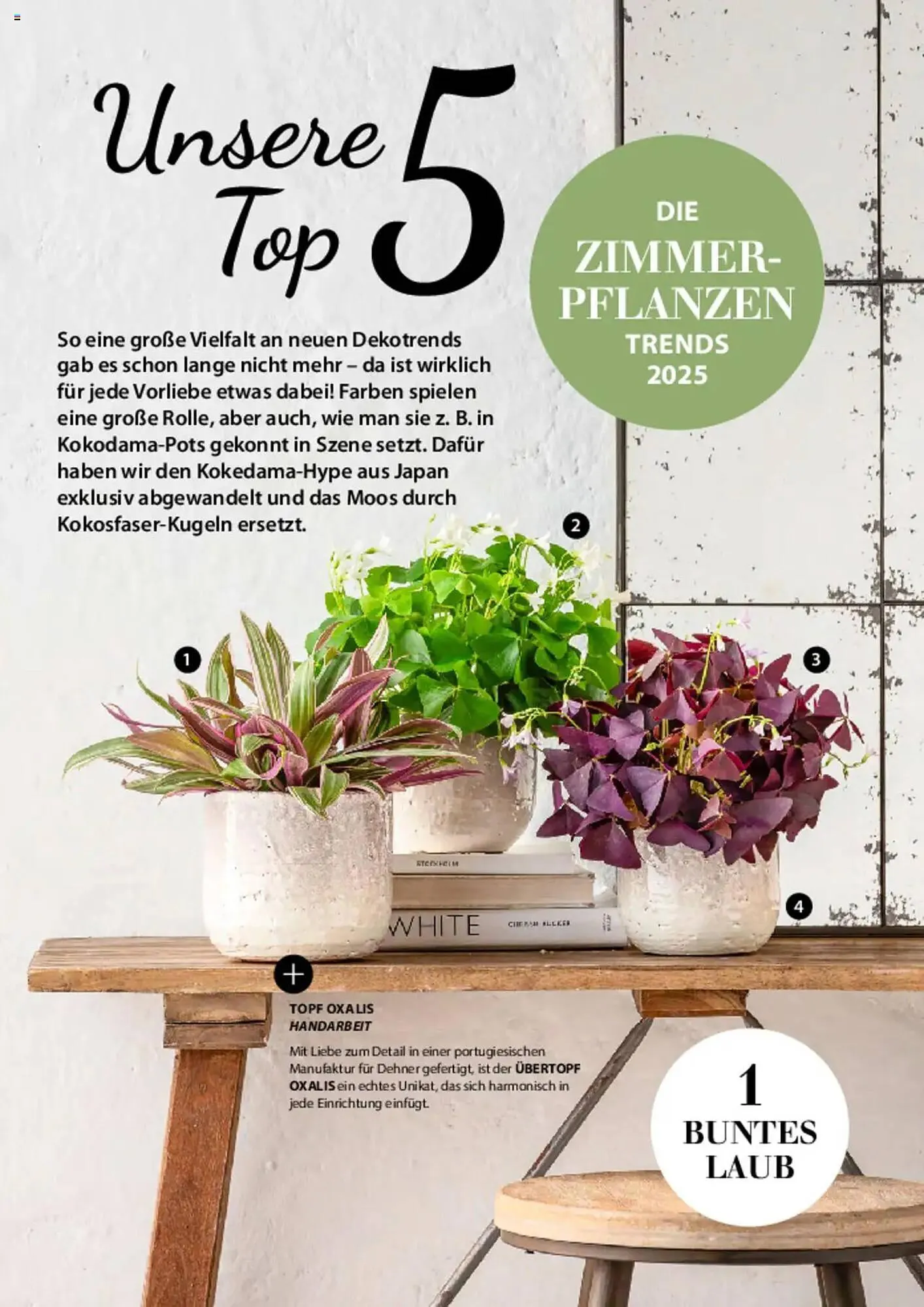 Dehner Prospekt von 6. März bis 9. Juni 2025 - Prospekt seite 78