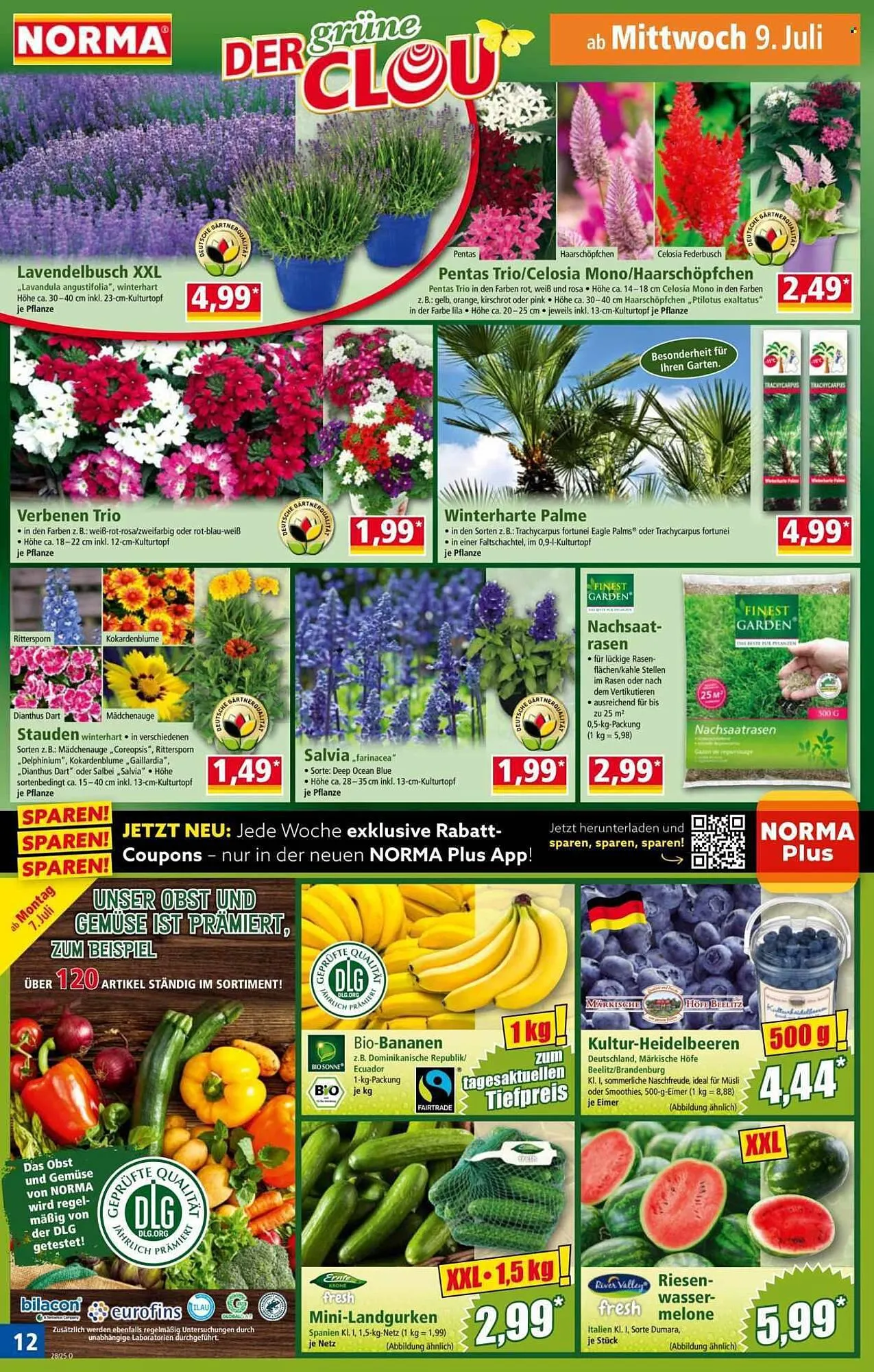 Norma Prospekt von 7. Juli bis 13. Juli 2025 - Prospekt seite 13