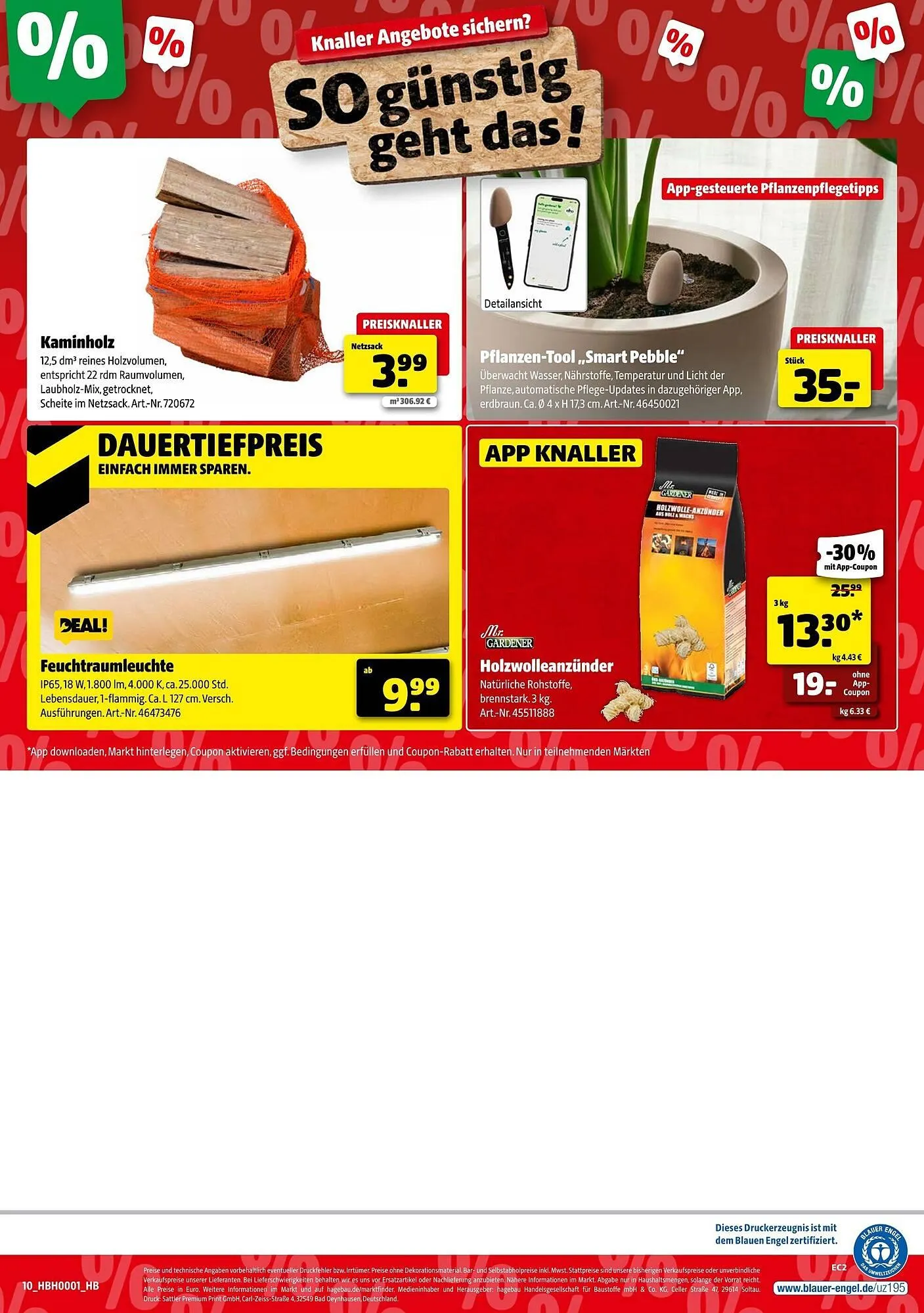 Hagebau Prospekt von 3. Januar bis 10. Januar 2026 - Prospekt seite 10