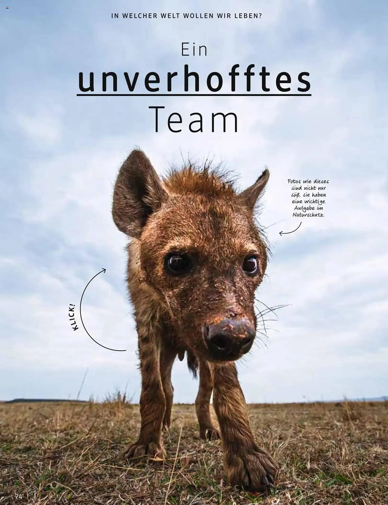 dm drogerie Prospekt von 1. März bis 31. März 2025 - Prospekt seite 74