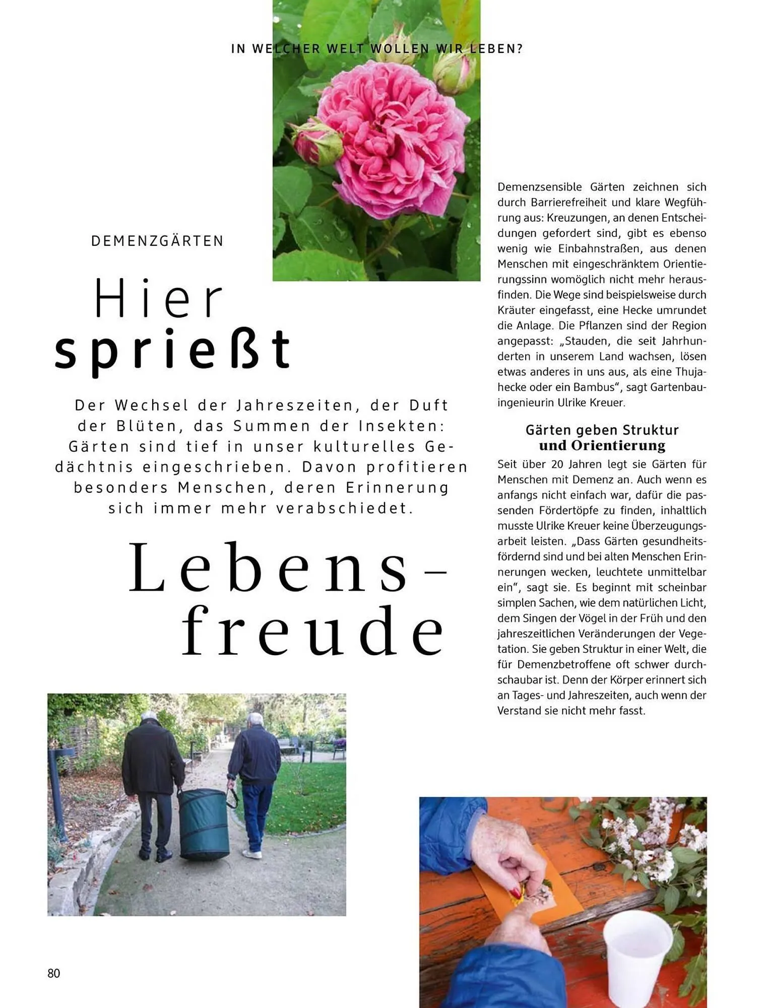 Dm drogerie Magazin von 1. April bis 30. April 2026 - Prospekt seite 80