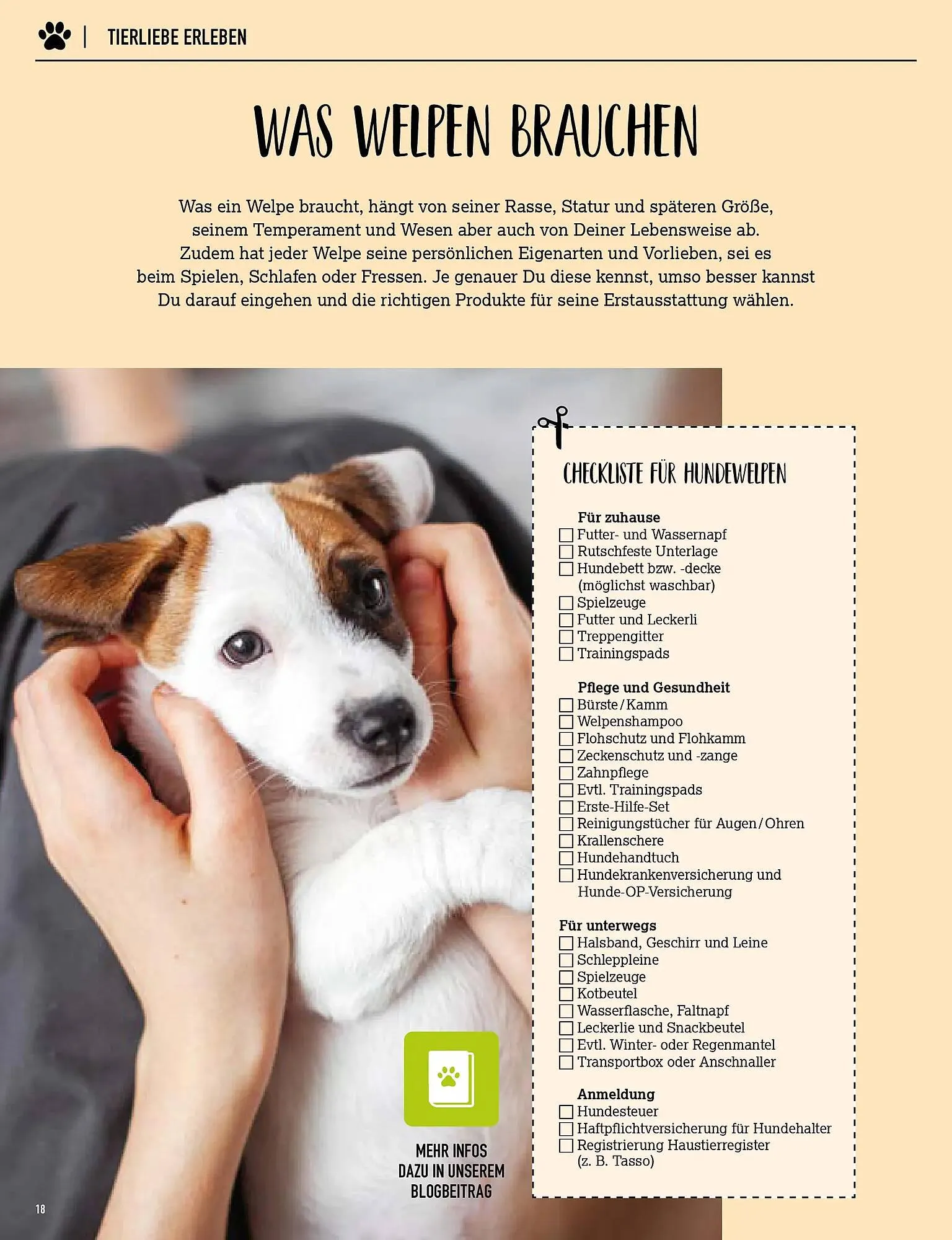 Kölle Zoo Prospekt von 25. März bis 2. April 2026 - Prospekt seite 18