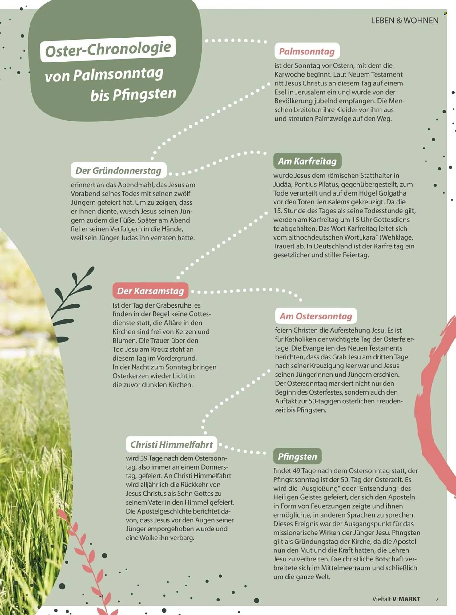 V Markt Magazin von 1. März bis 30. April 2026 - Prospekt seite 7