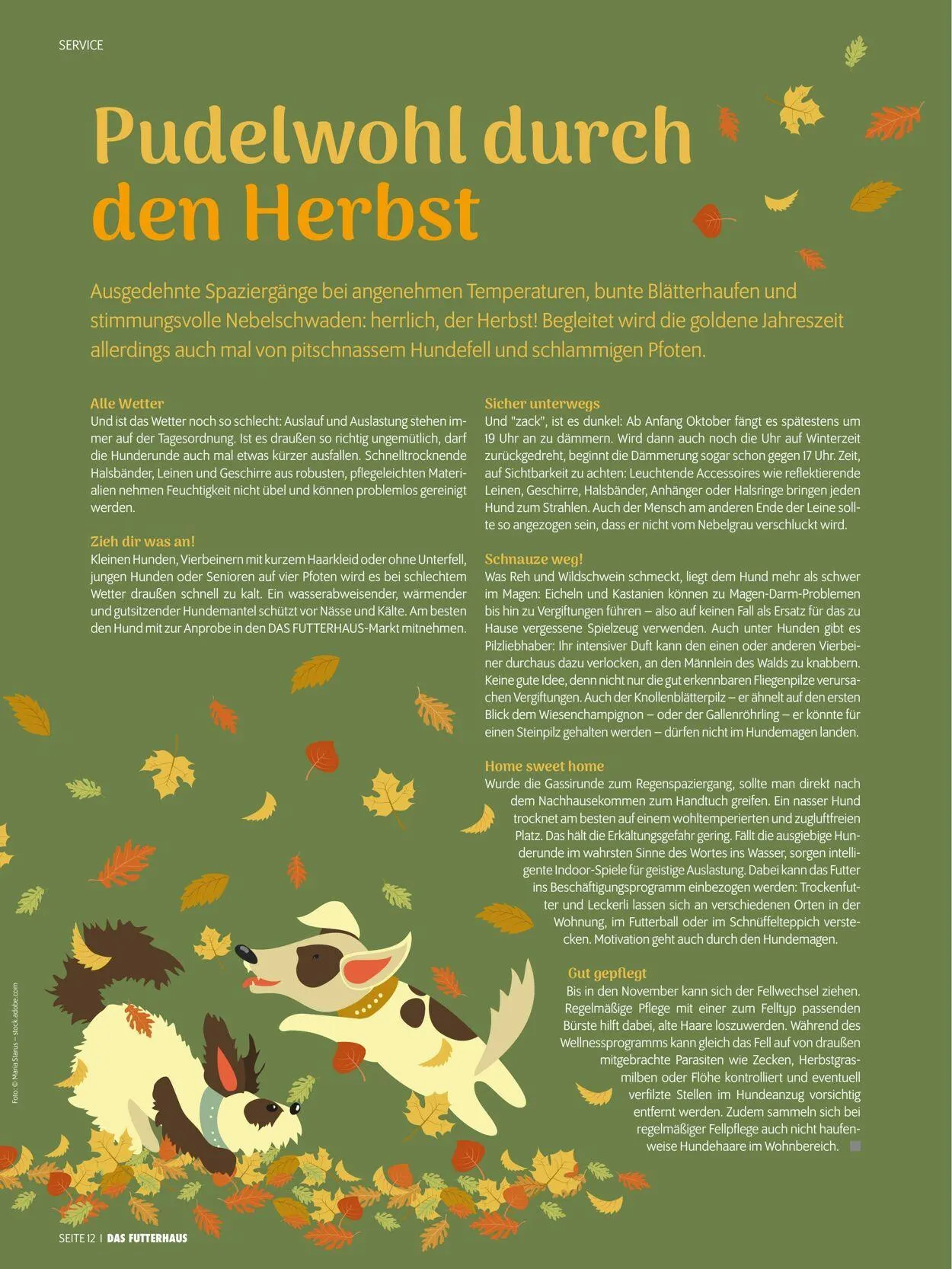 Futterhaus Aktueller Prospekt von 1. Oktober bis 31. Oktober 2025 - Prospekt seite 12