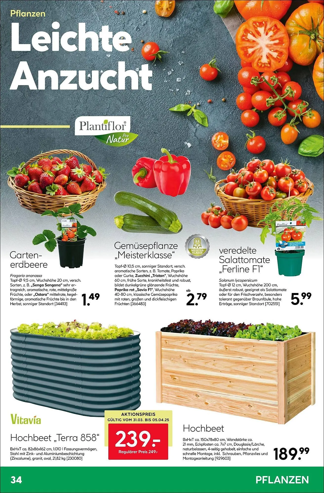 BayWa Prospekt von 31. März bis 6. April 2025 - Prospekt seite 34