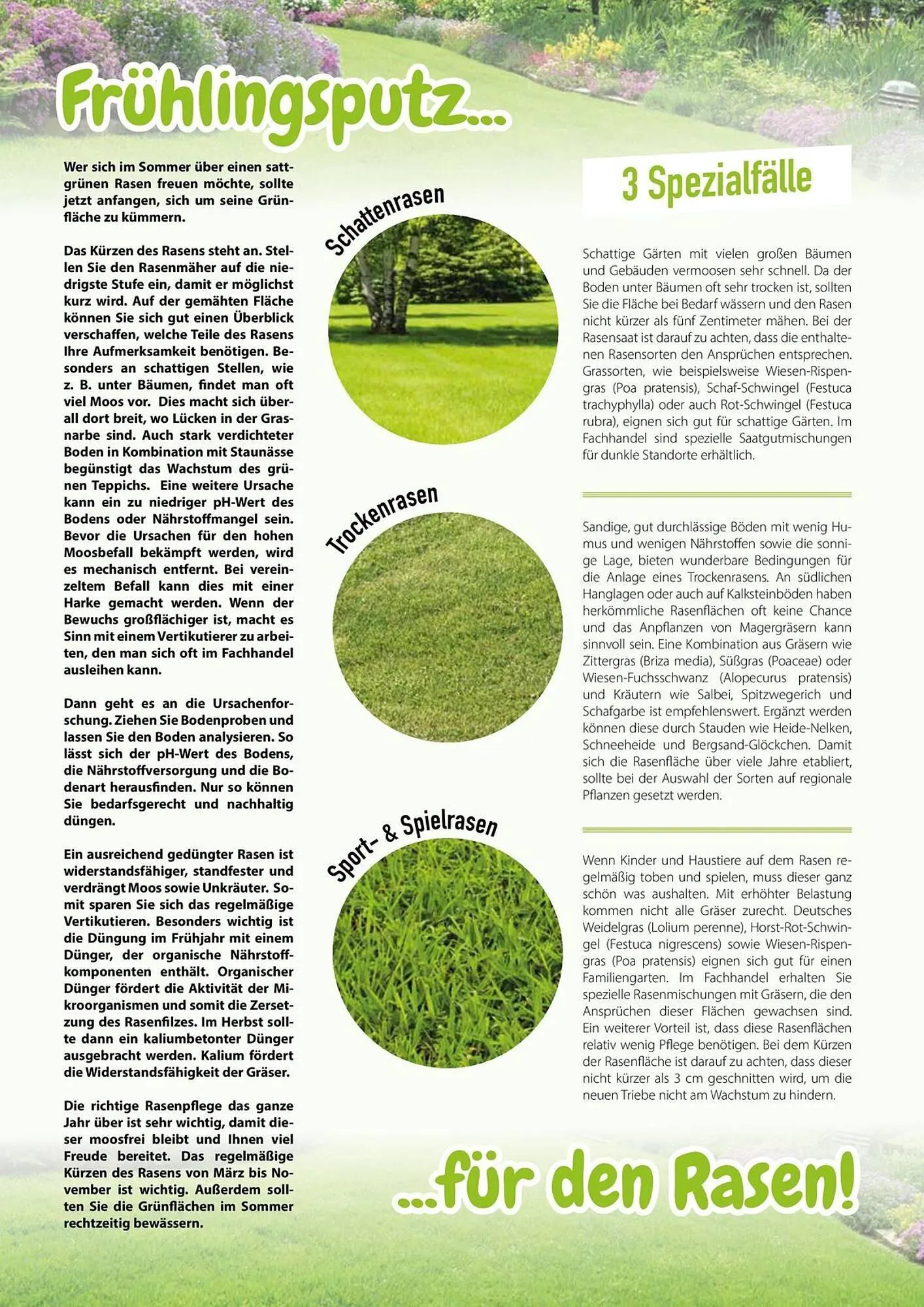 Kiebitzmarkt Prospekt von 16. April bis 31. August 2025 - Prospekt seite 80