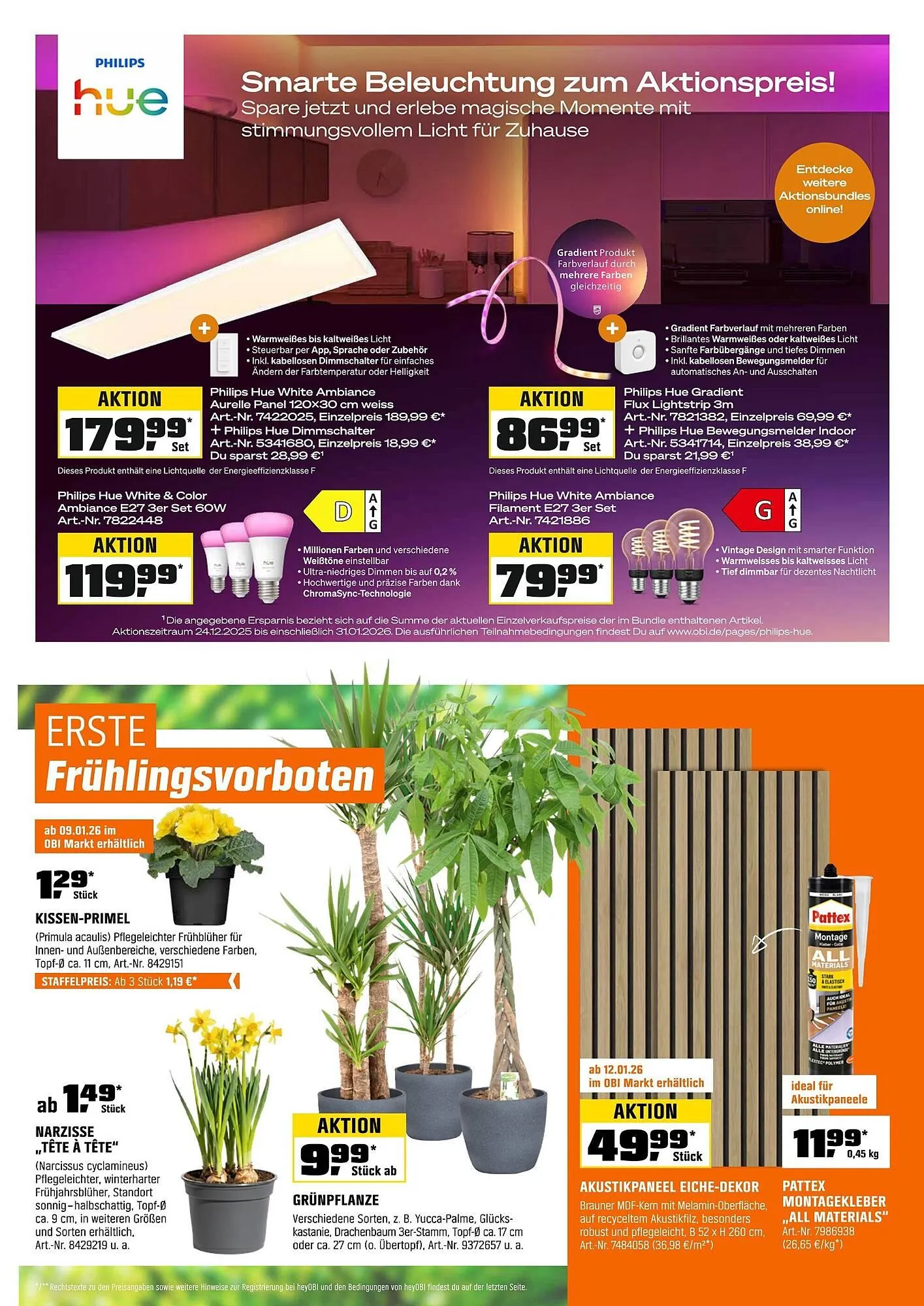 OBI Prospekt von 27. Dezember bis 31. Januar 2026 - Prospekt seite 9