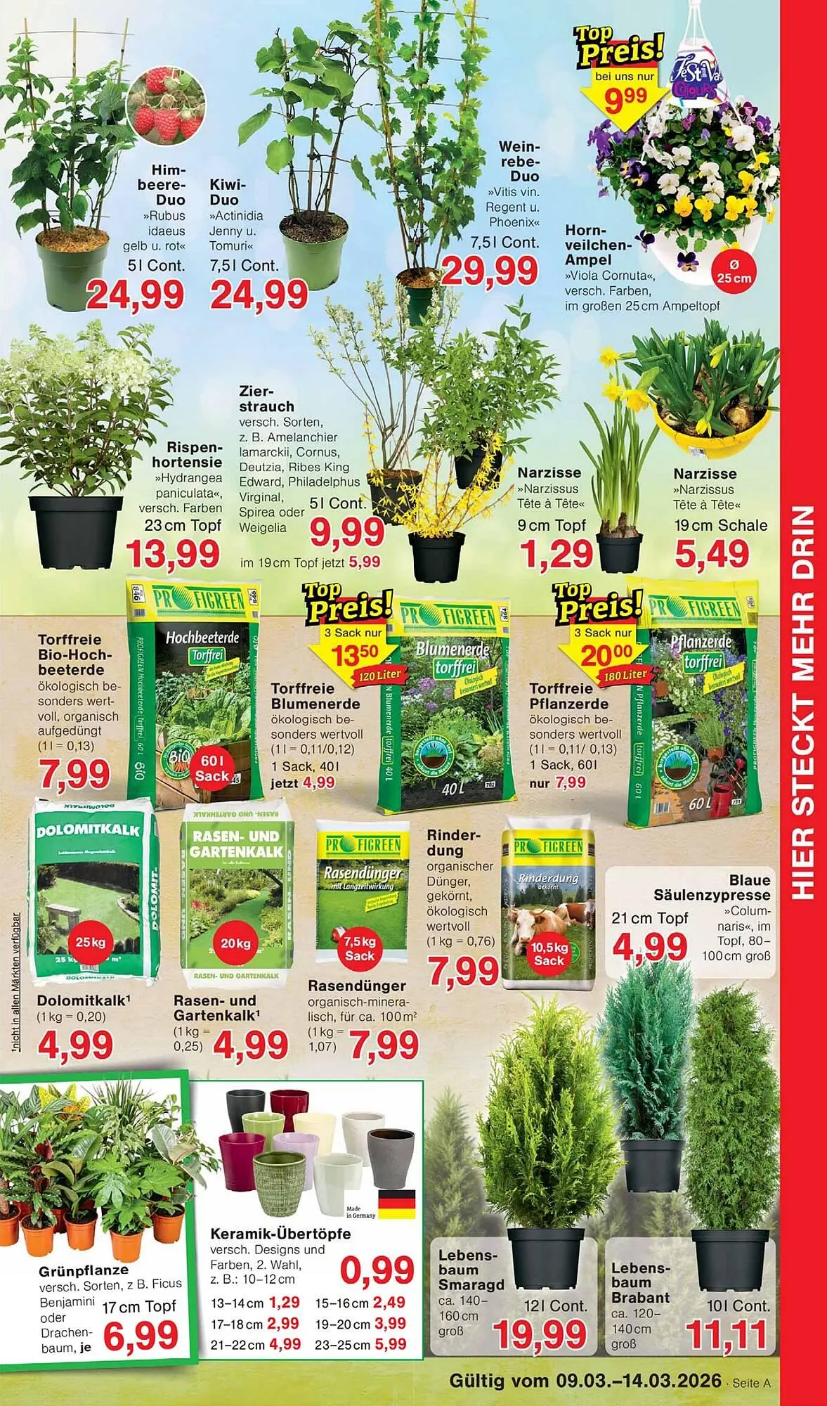 Wiglo Wunderland Prospekt von 9. März bis 14. März 2026 - Prospekt seite 5