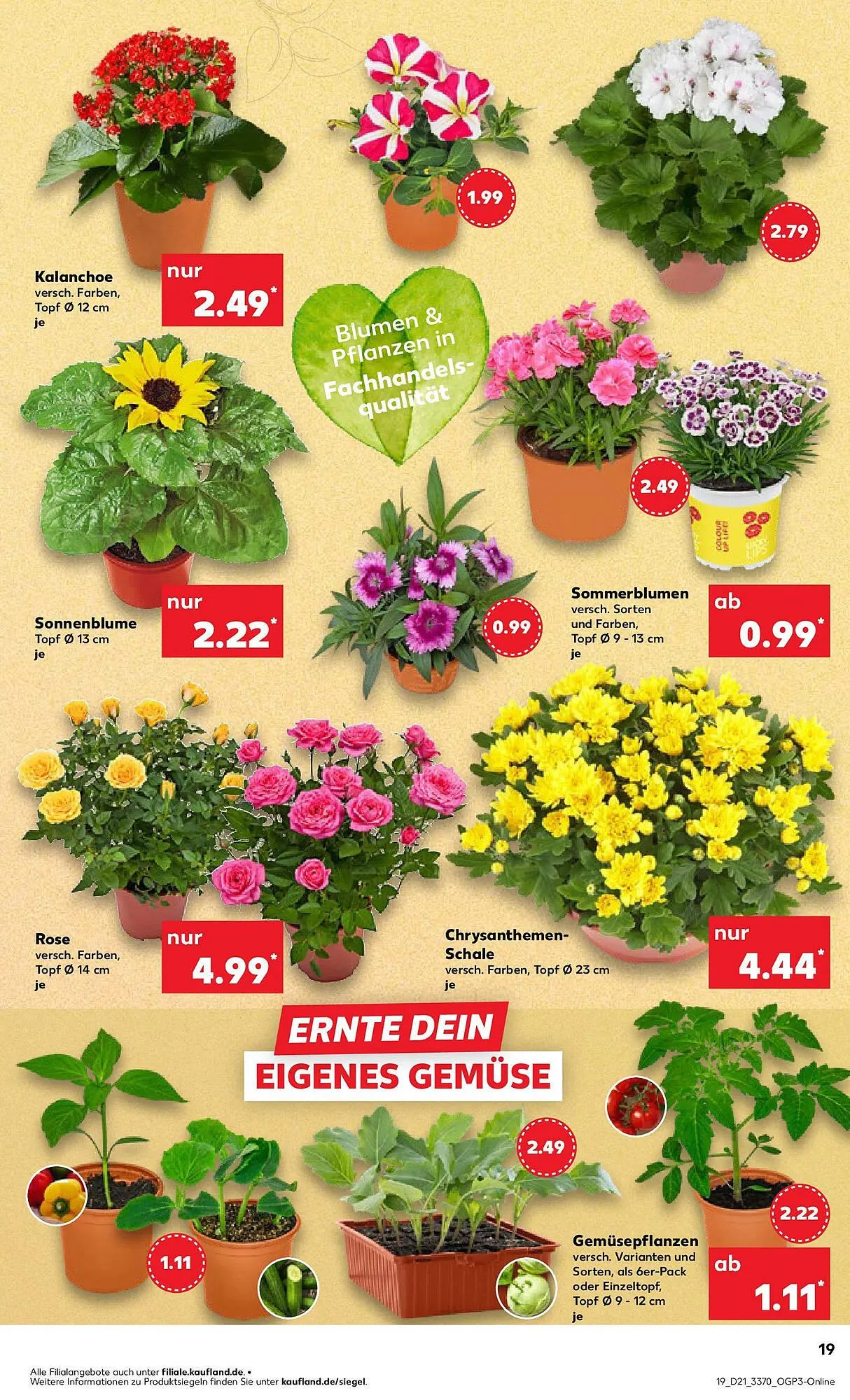 Kaufland Prospekt von 25. Mai bis 28. Mai 2025 - Prospekt seite 34
