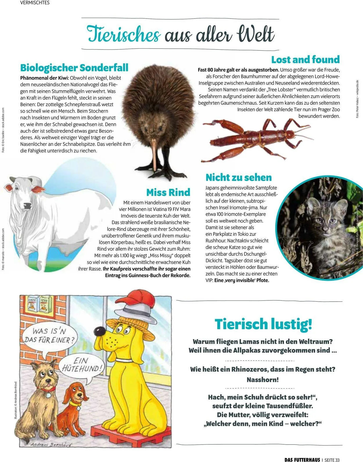 Futterhaus Aktueller Prospekt von 1. Oktober bis 31. Oktober 2025 - Prospekt seite 33