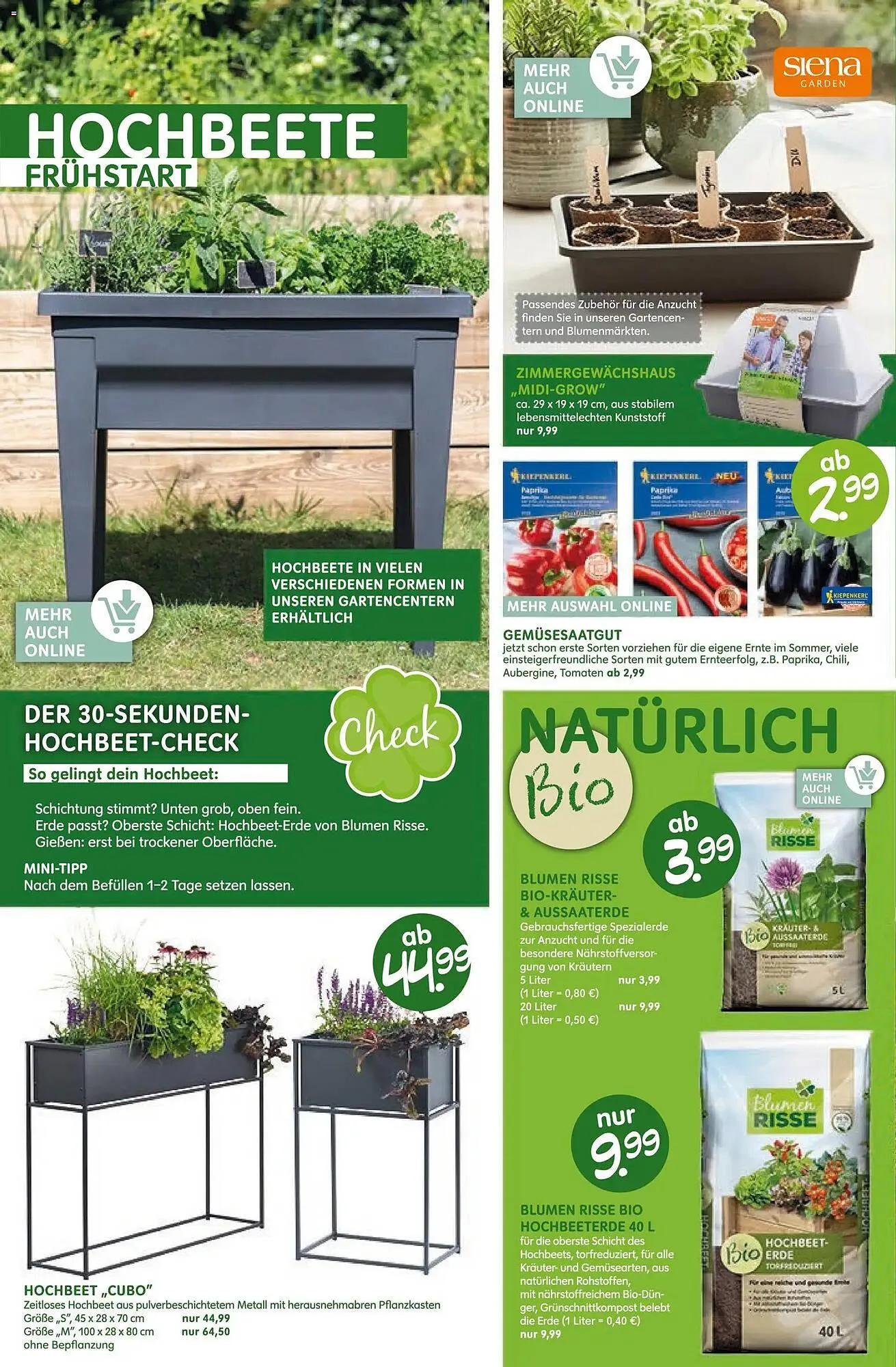 Blumen Risse Prospekt von 12. März bis 22. März 2026 - Prospekt seite 4