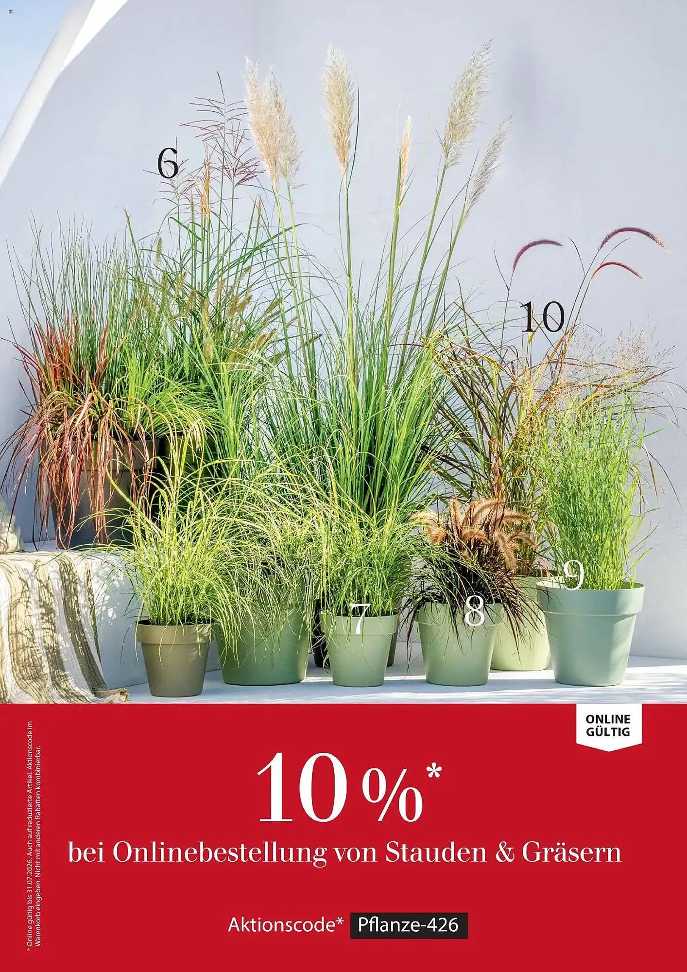 Dehner Prospekt von 17. April bis 31. August 2026 - Prospekt seite 35