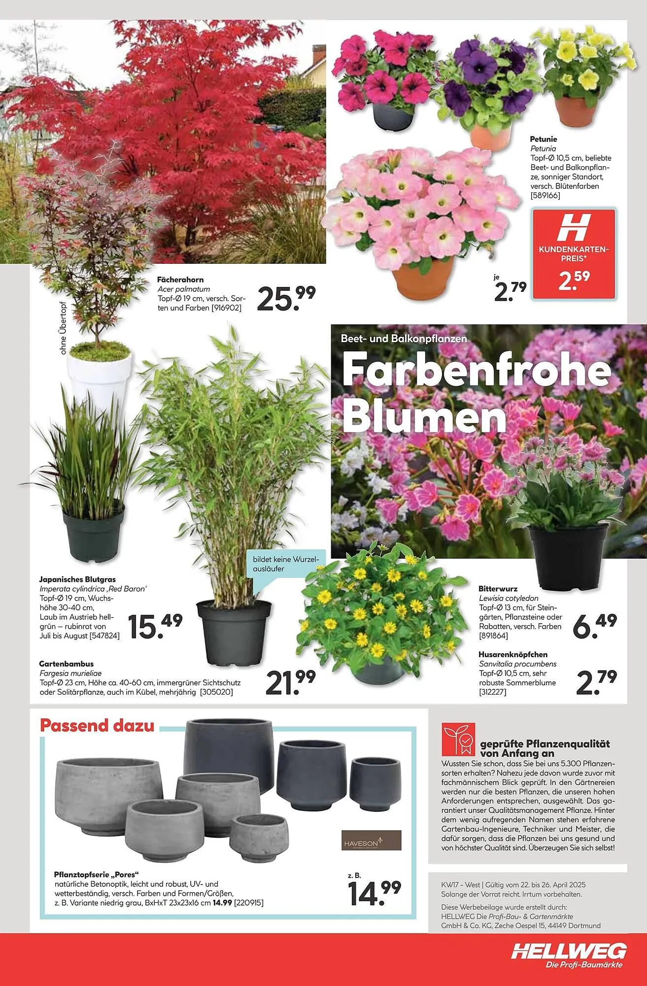 Hellweg Prospekt von 22. April bis 26. April 2025 - Prospekt seite 23