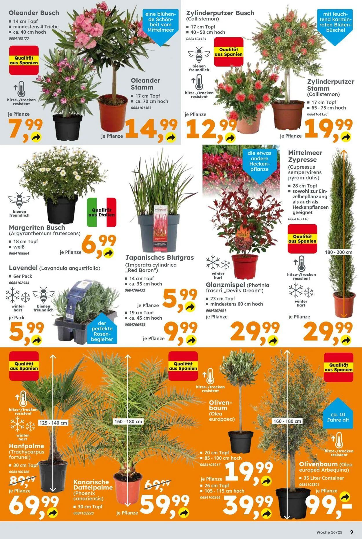 Globus Baumarkt Aktueller Prospekt von 13. April bis 19. April 2025 - Prospekt seite 9