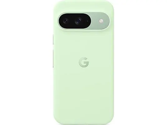 GOOGLE Case, Backcover, Google, Pixel 9 / Pixel 9 Pro, Wintergreen