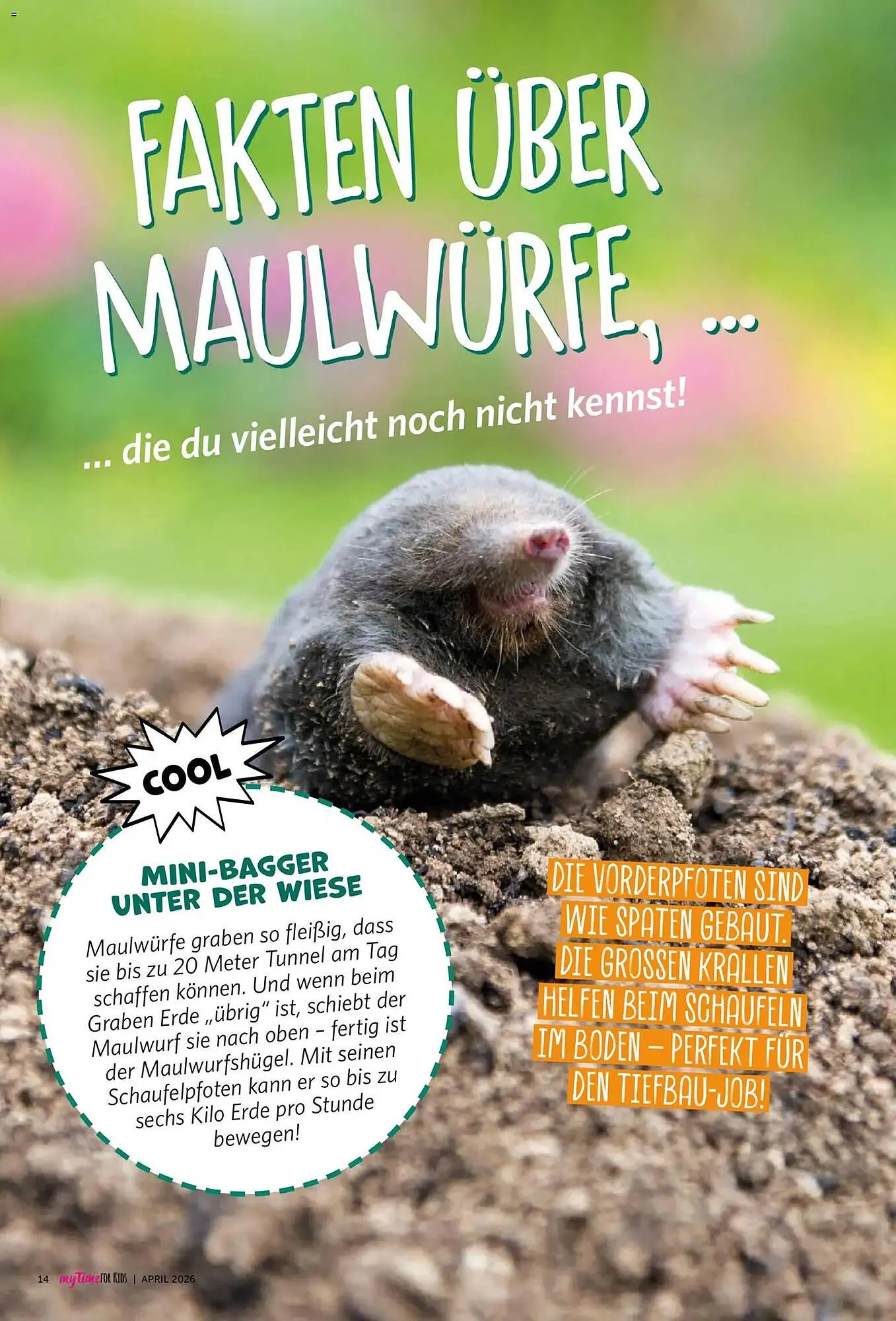 Combi Magazine von 1. April bis 30. April 2026 - Prospekt seite 89