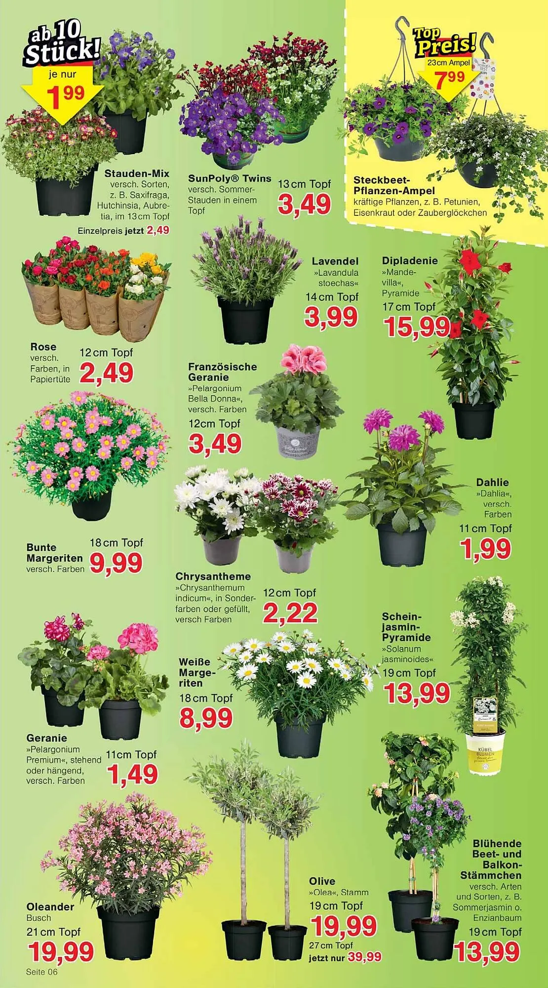 Wiglo Wunderland Prospekt von 13. April bis 18. April 2026 - Prospekt seite 6