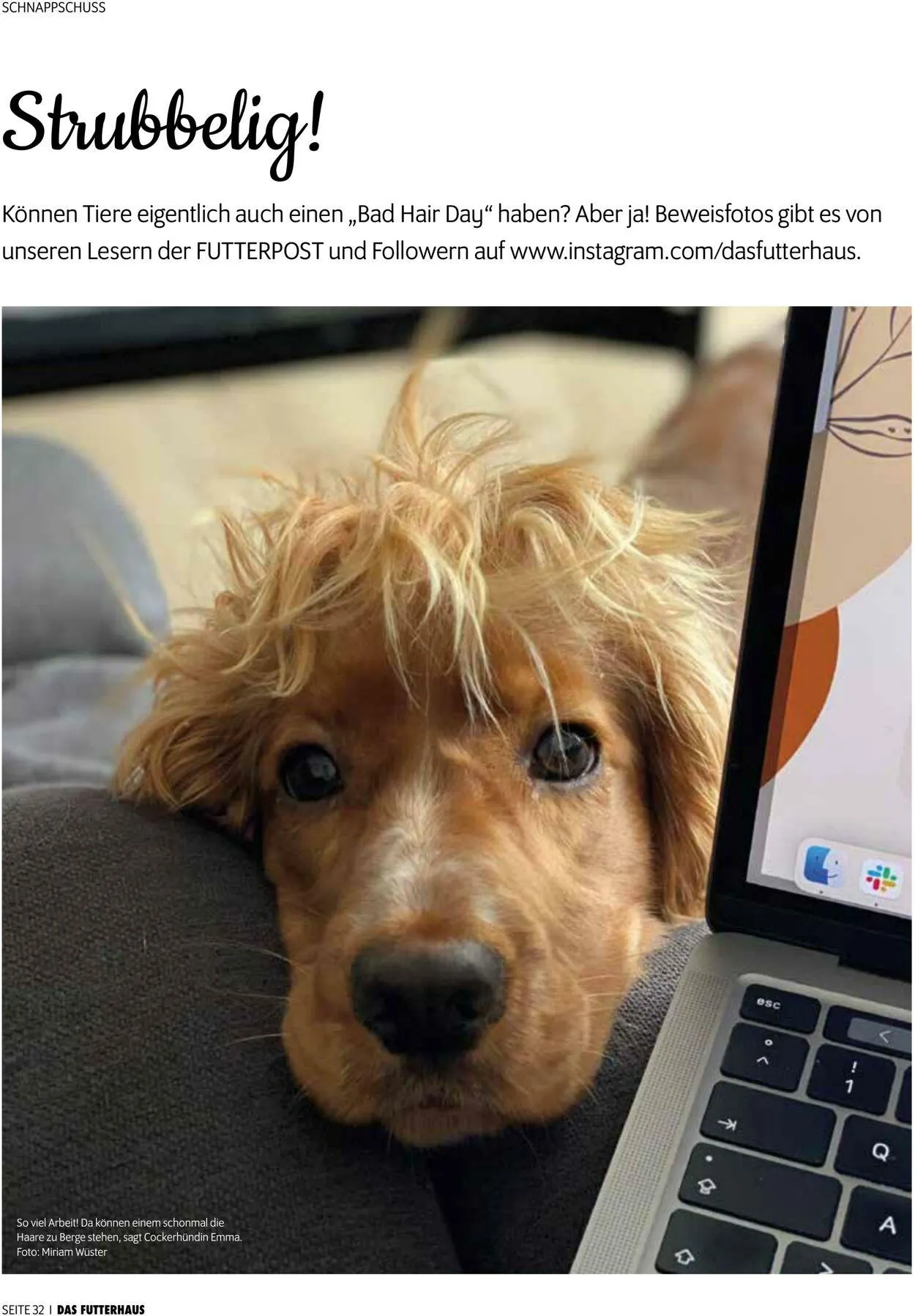 Futterhaus Aktueller Prospekt von 1. Dezember bis 31. Dezember 2025 - Prospekt seite 32