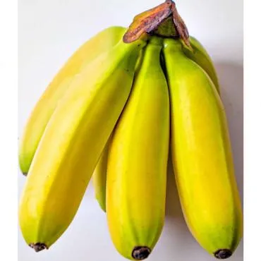 Mini Bananen, Premium