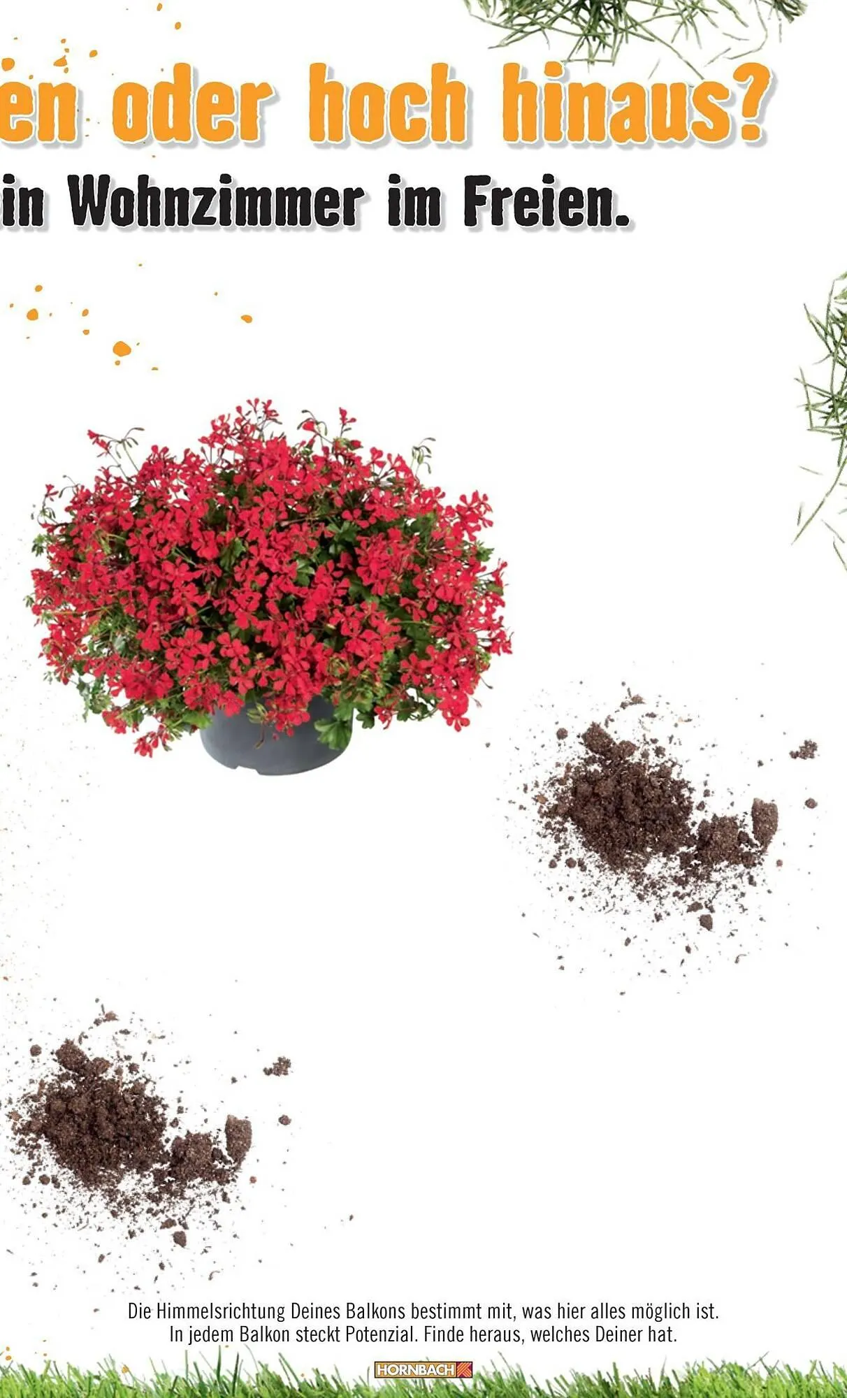 Hornbach Prospekt von 1. April bis 7. April 2025 - Prospekt seite 33