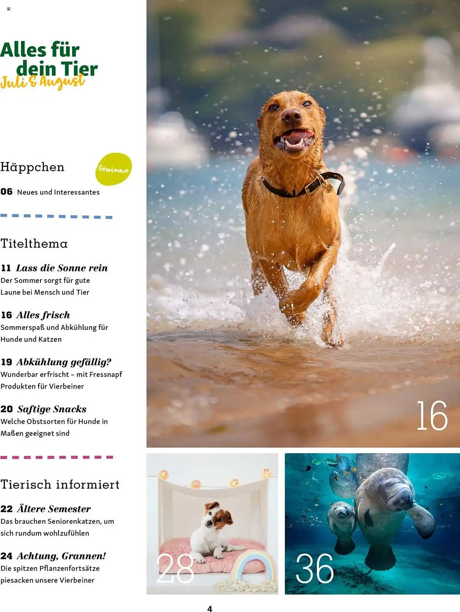 Fressnapf Prospekt von 1. Juli bis 31. August 2025 - Prospekt seite 4