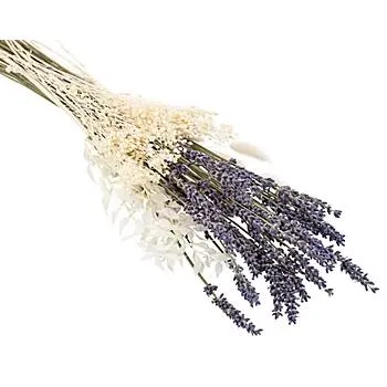 Trockenblumenmix, flieder-weiß-natur