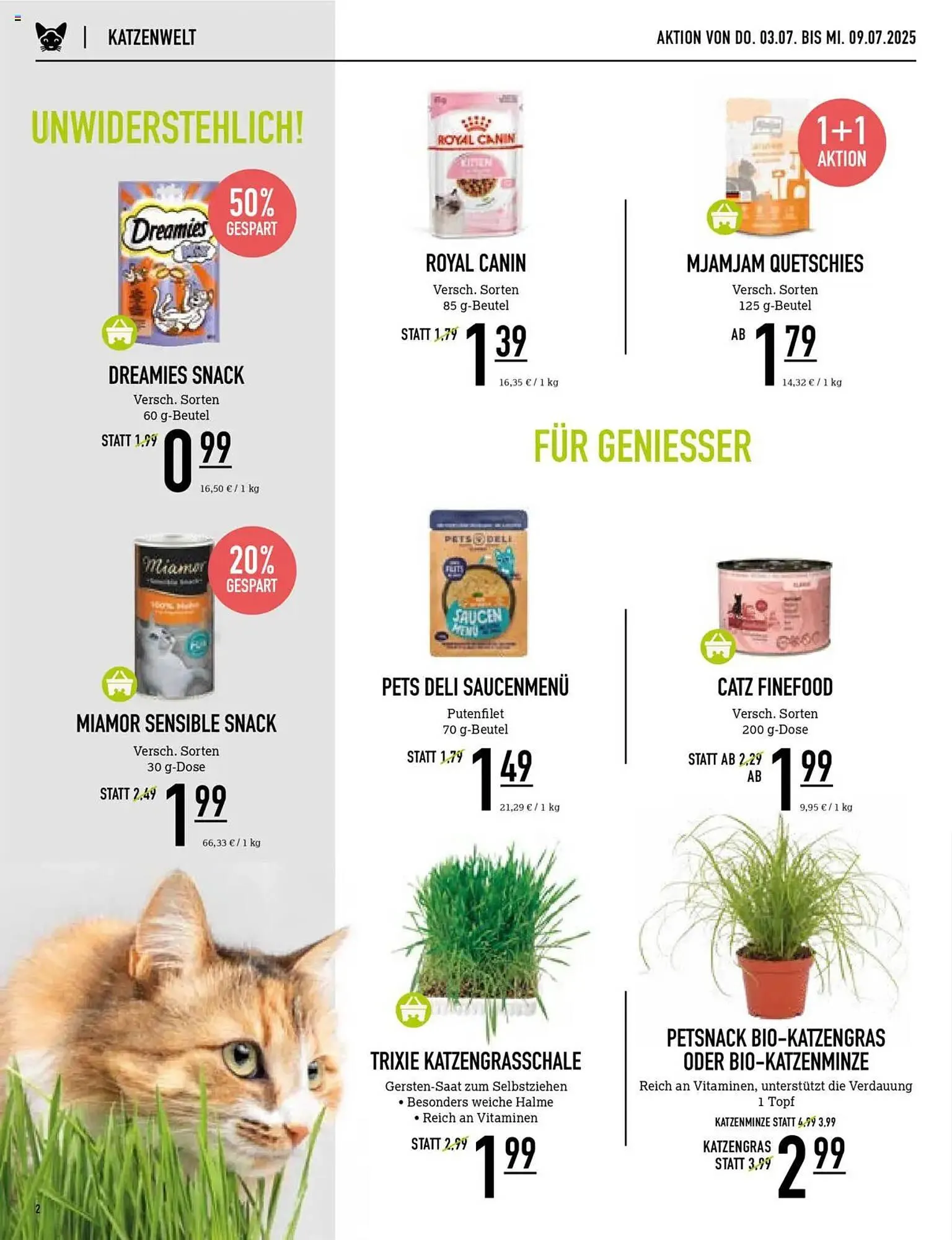 Kölle Zoo Prospekt von 3. Juli bis 9. Juli 2025 - Prospekt seite 2