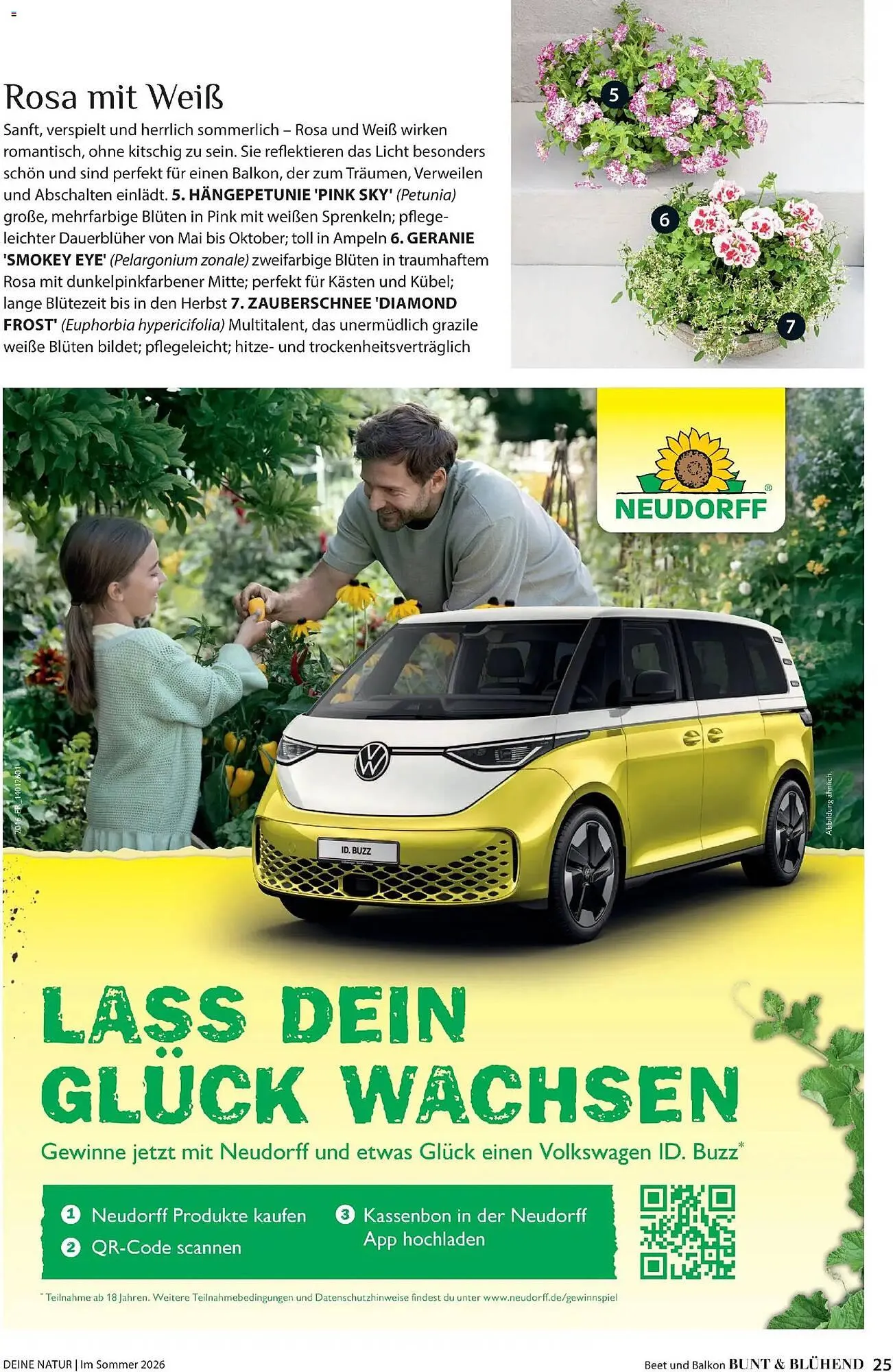 Dehner Prospekt von 17. April bis 31. August 2026 - Prospekt seite 25