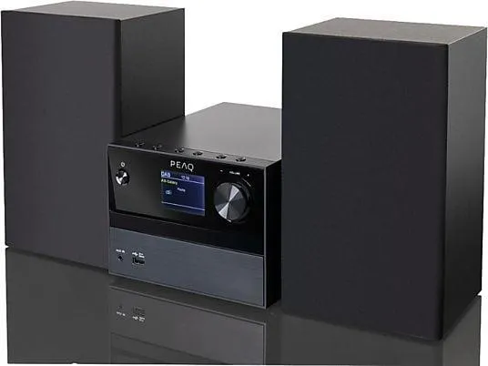 PEAQ PMS 320 Micro Hifi System (Schwarz)