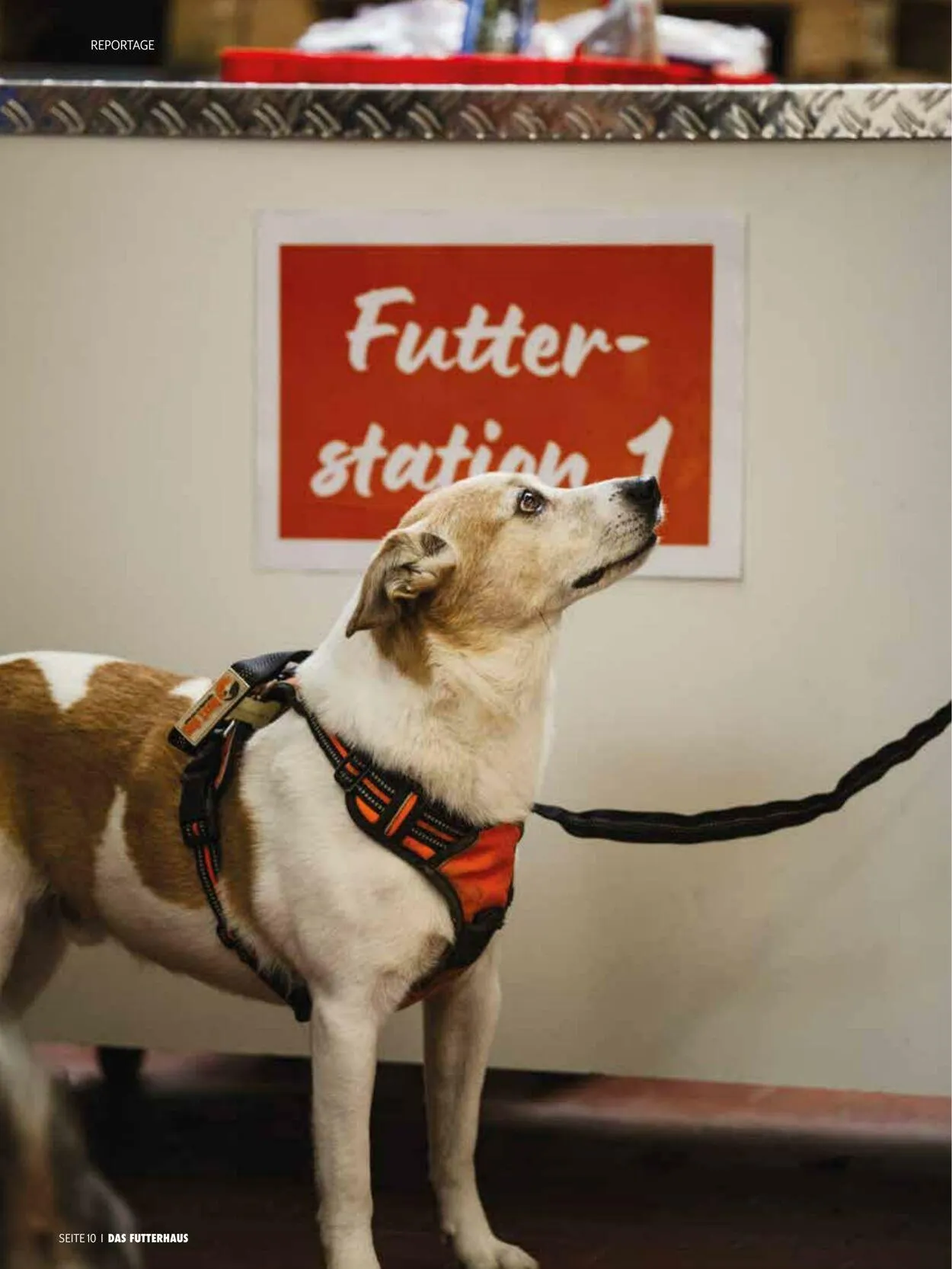 Futterhaus Aktueller Prospekt von 1. Dezember bis 31. Dezember 2025 - Prospekt seite 10