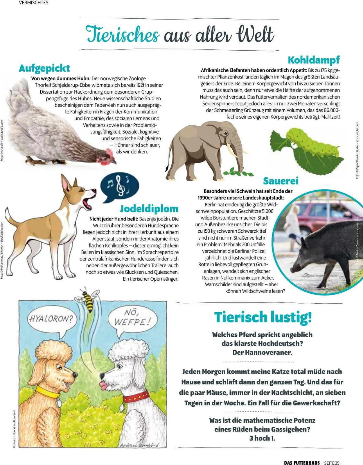 Futterhaus Aktueller Prospekt von 1. August bis 31. August 2025 - Prospekt seite 35