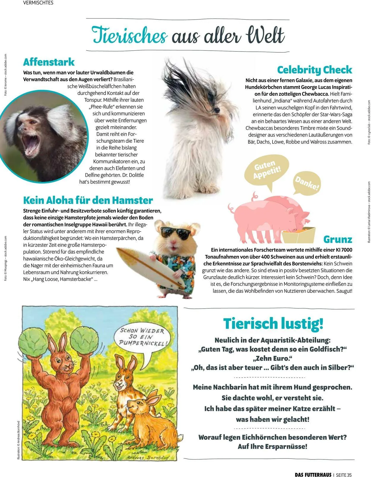 Futterhaus Aktueller Prospekt von 1. Mai bis 31. Mai 2025 - Prospekt seite 35