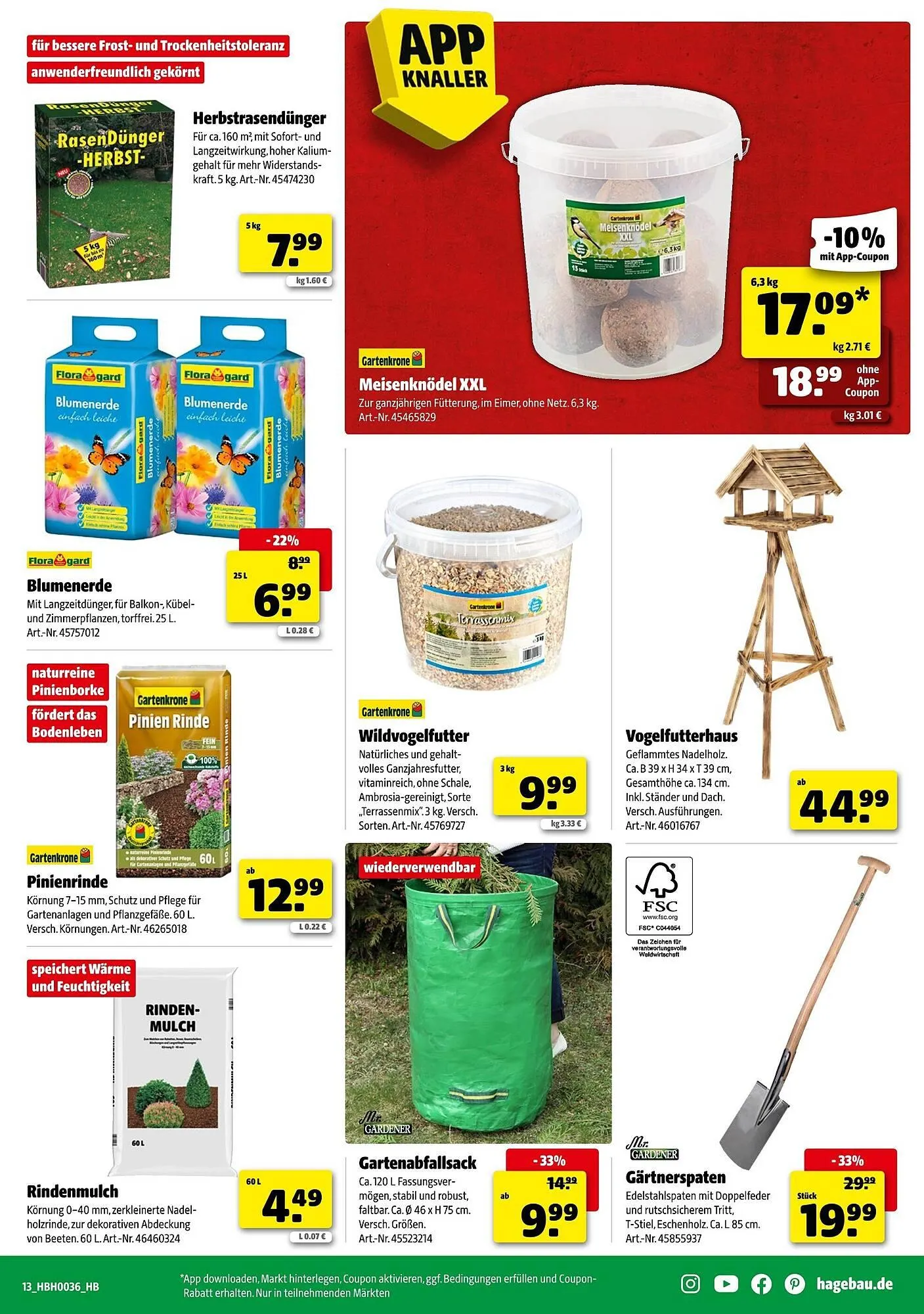 Hagebau Prospekt von 30. August bis 6. September 2025 - Prospekt seite 13