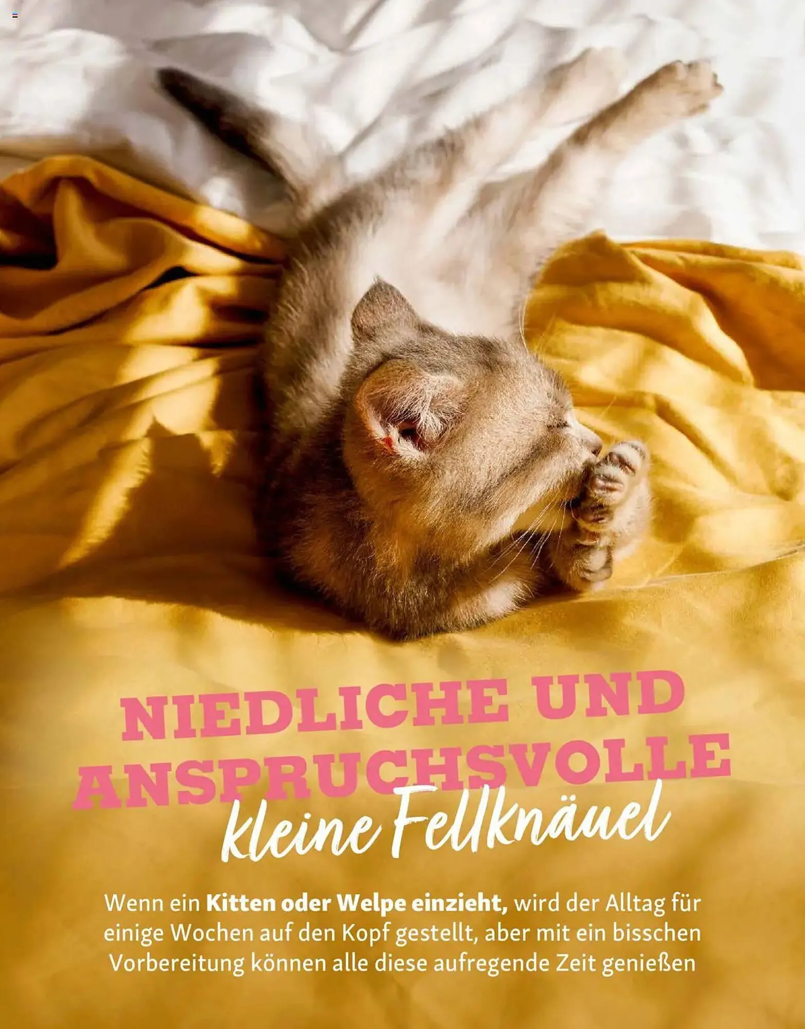 Fressnapf Prospekt von 1. Mai bis 30. Juni 2025 - Prospekt seite 16