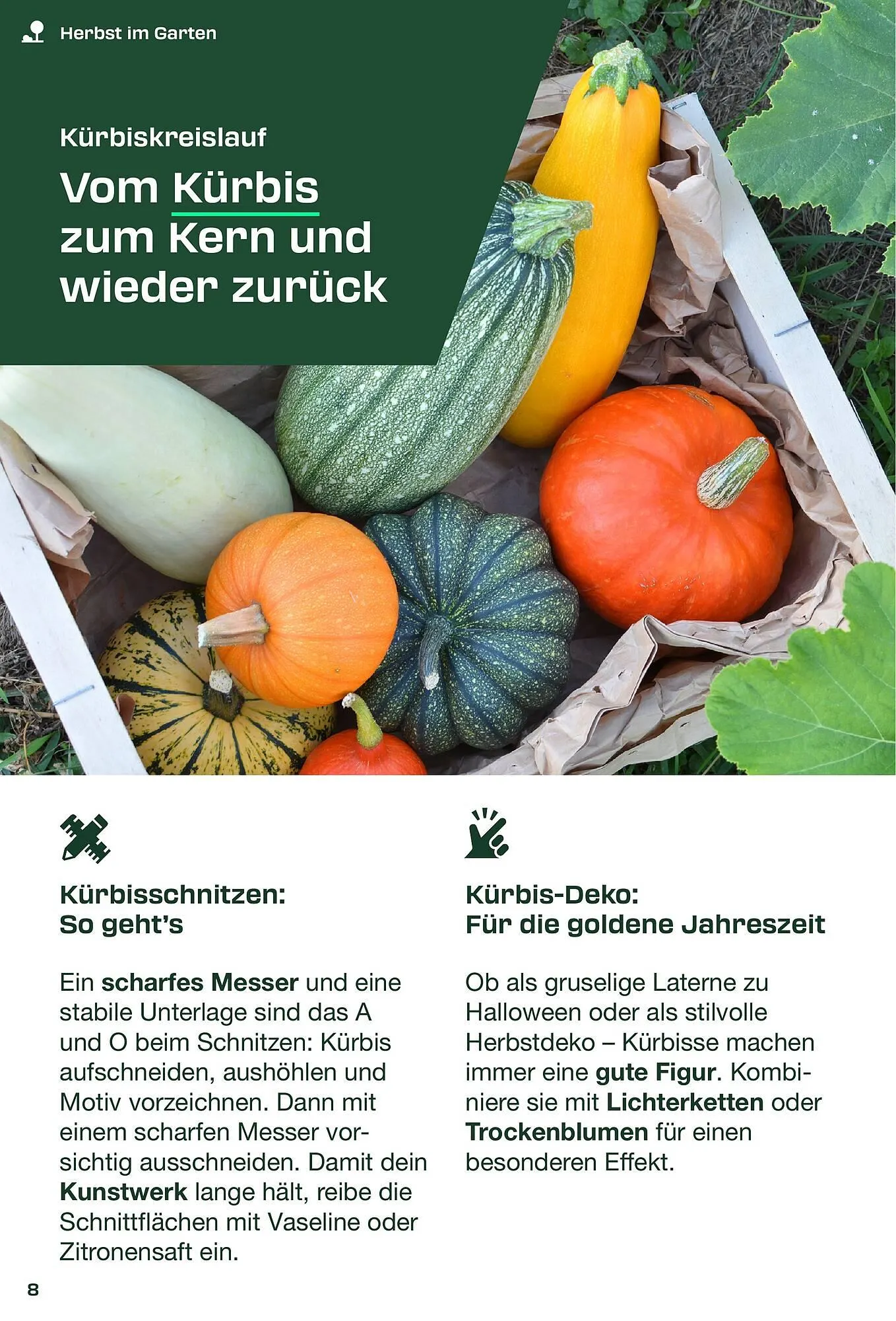 Kaufland Prospekt von 1. September bis 30. November 2025 - Prospekt seite 8