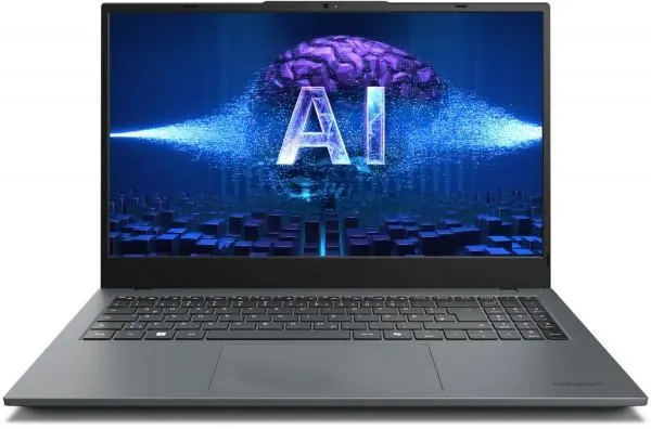 Medion E15443 (MD62622) 39,6 cm (15,6") Notebook grau