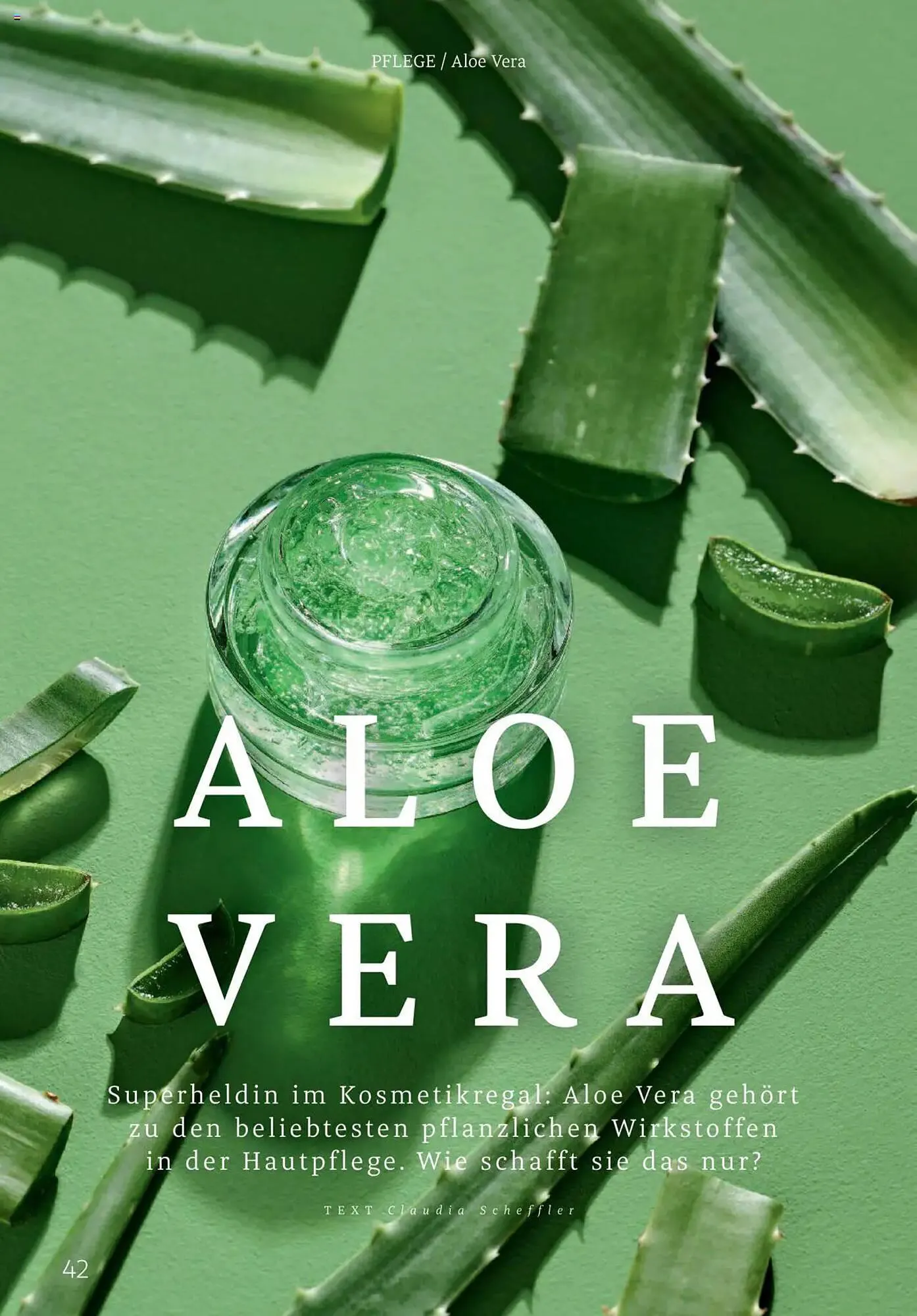 Rossmann Prospekt von 1. August bis 31. August 2025 - Prospekt seite 42