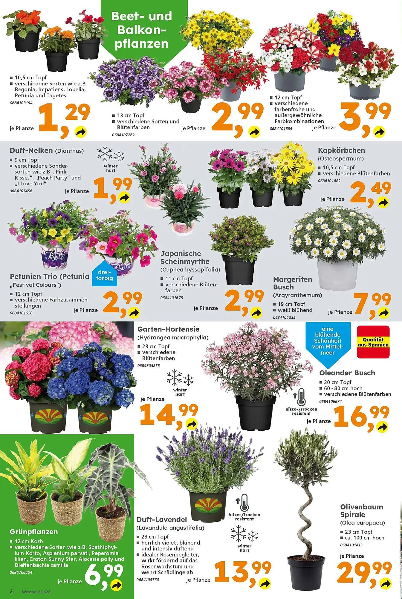 Globus Baumarkt Prospekt von 17. Mai bis 23. Mai 2026 - Prospekt seite 2