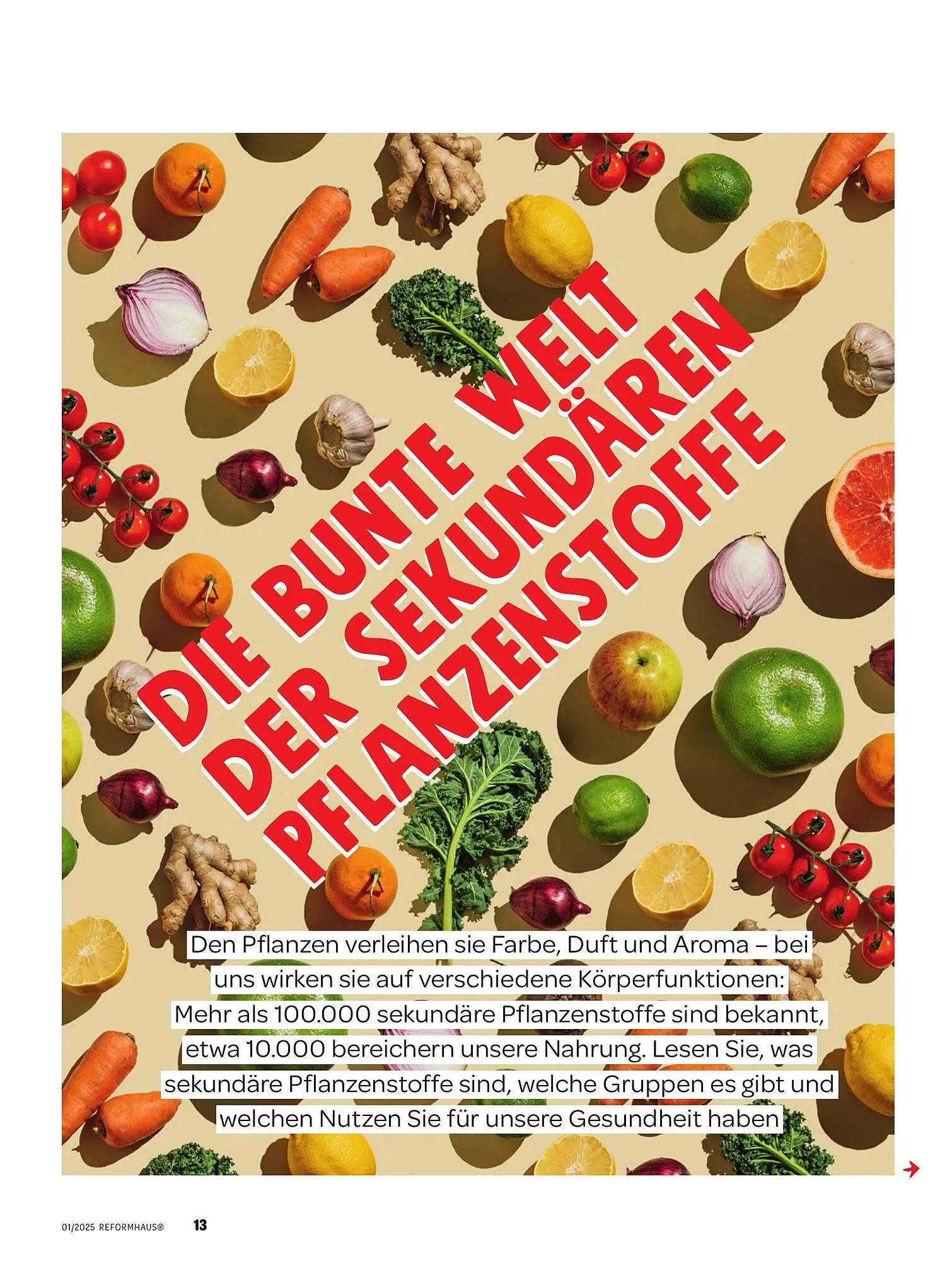 Reformhaus Prospekt von 1. Januar bis 31. Januar 2025 - Prospekt seite 13