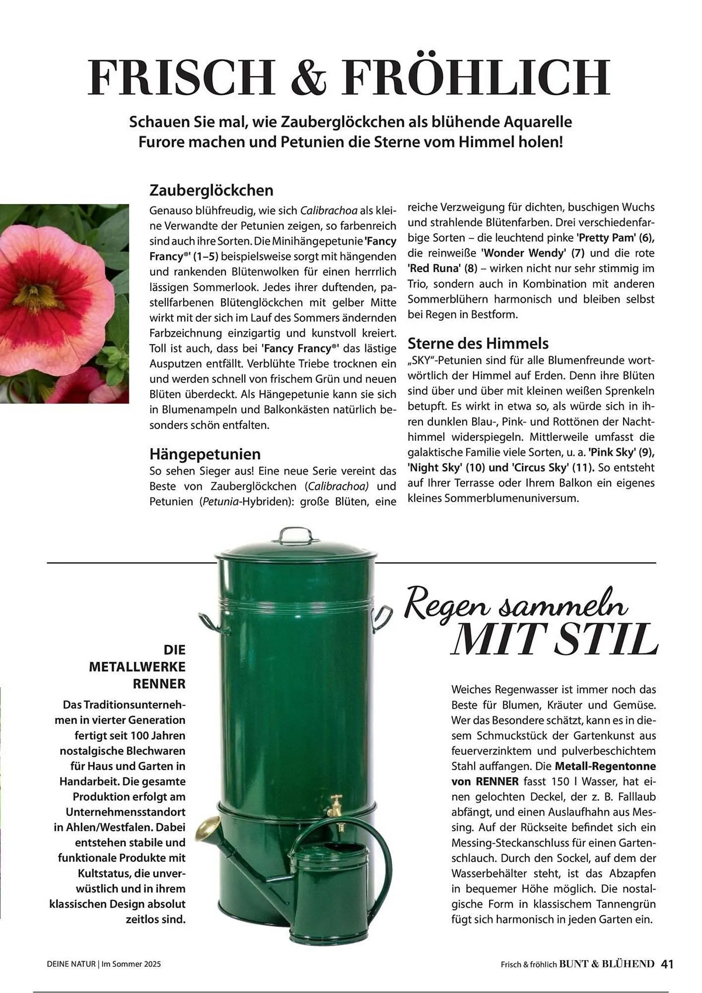 Dehner Prospekt von 1. Juli bis 31. Dezember 2025 - Prospekt seite 41