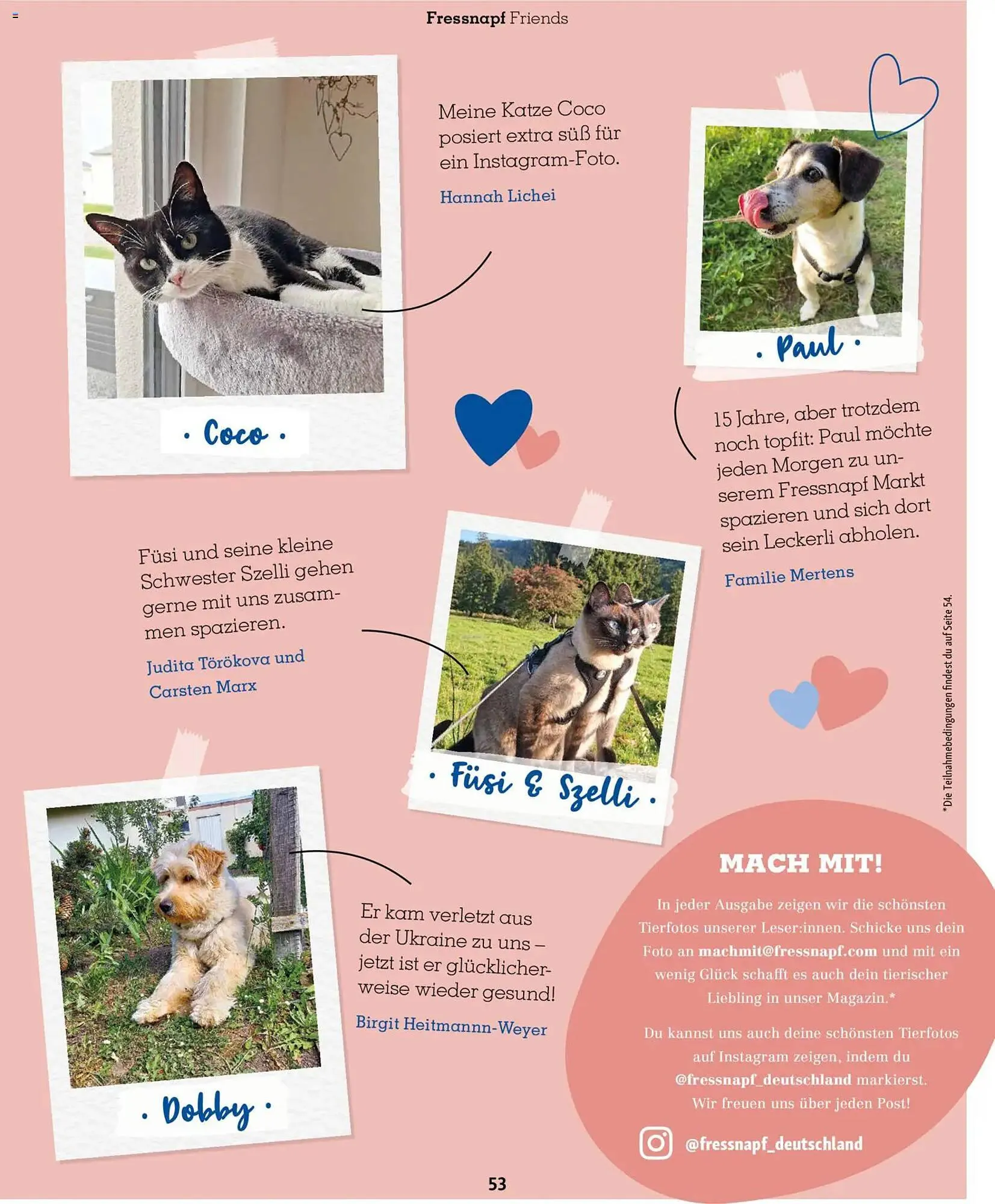 Fressnapf Magazin von 2. März bis 30. April 2026 - Prospekt seite 53