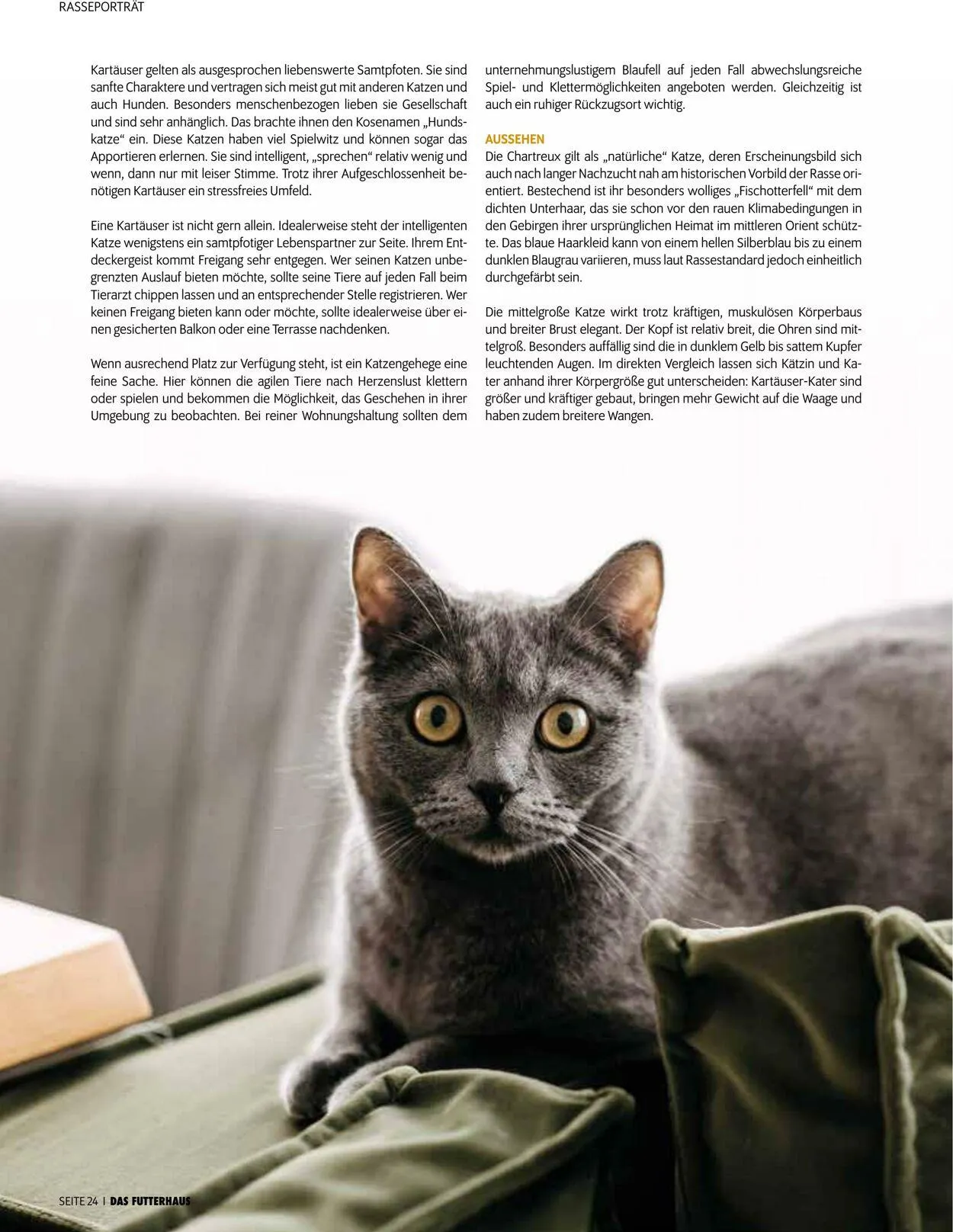 Futterhaus Aktueller Prospekt von 1. Juni bis 30. Juni 2025 - Prospekt seite 24